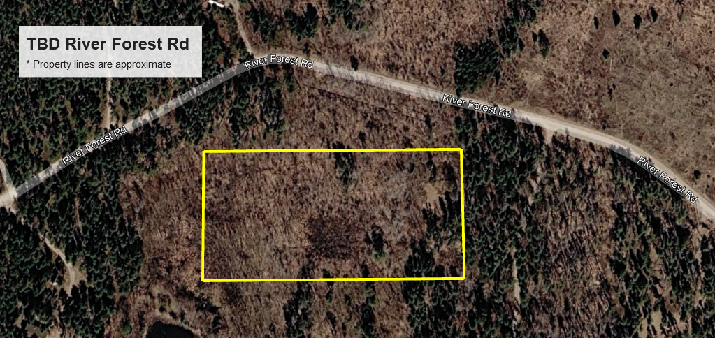 land for sale at TBD River Forest Road in Roseau, MN (photo 3 of 7)