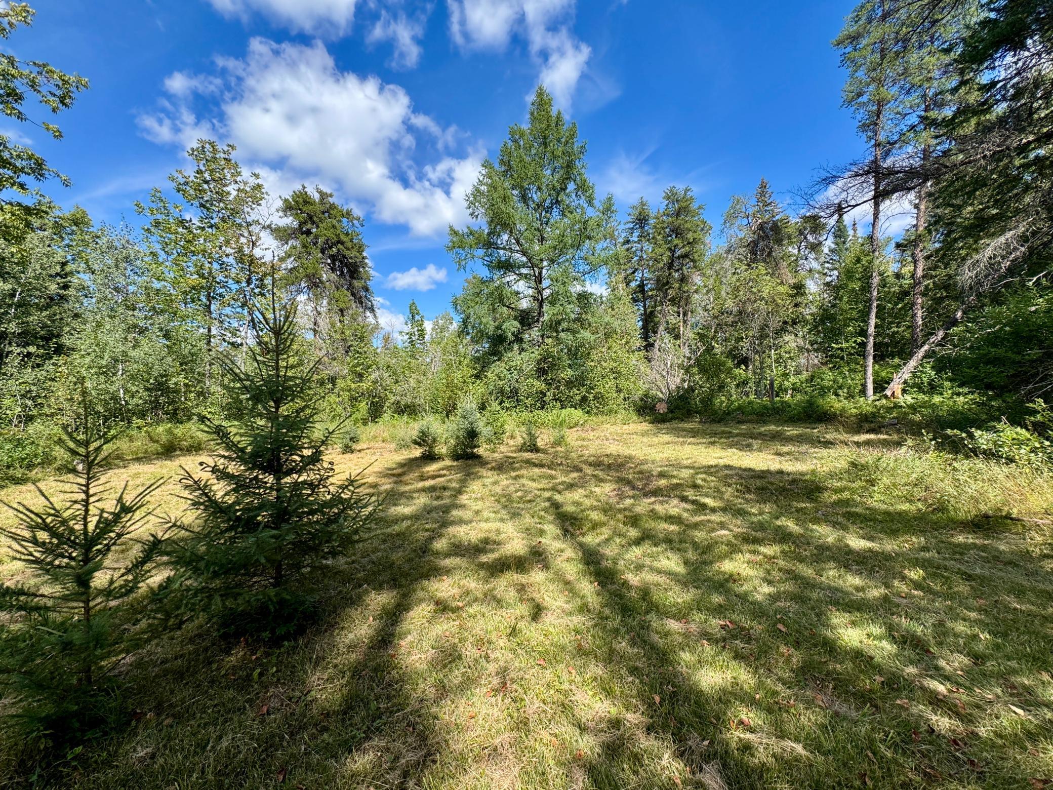 land for sale at TBD River Forest Road in Roseau, MN (photo 6 of 7)