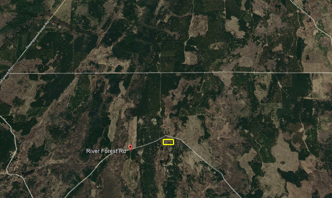 land for sale at TBD River Forest Road in Roseau, MN (photo 7 of 7)