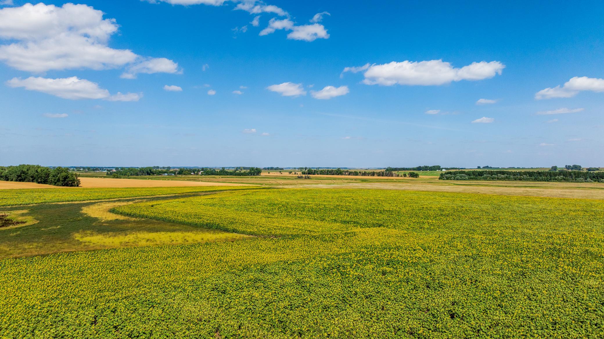 land for sale at TBD 15 Ave NE Lot 1 in Berwick, ND (photo 2 of 31)
