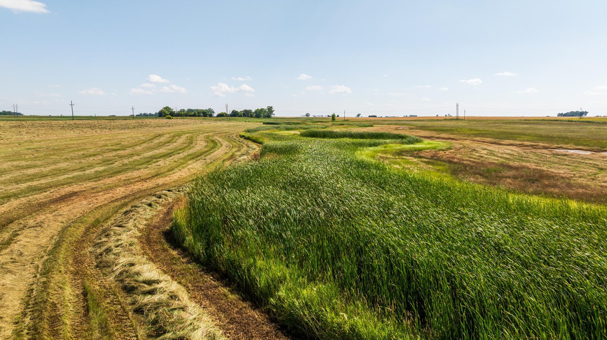 land for sale at TBD 15 Ave NE Lot 1 in Berwick, ND (photo 12 of 31)