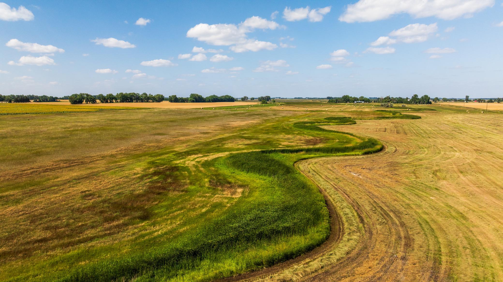 land for sale at TBD 15 Ave NE Lot 1 in Berwick, ND (photo 13 of 31)