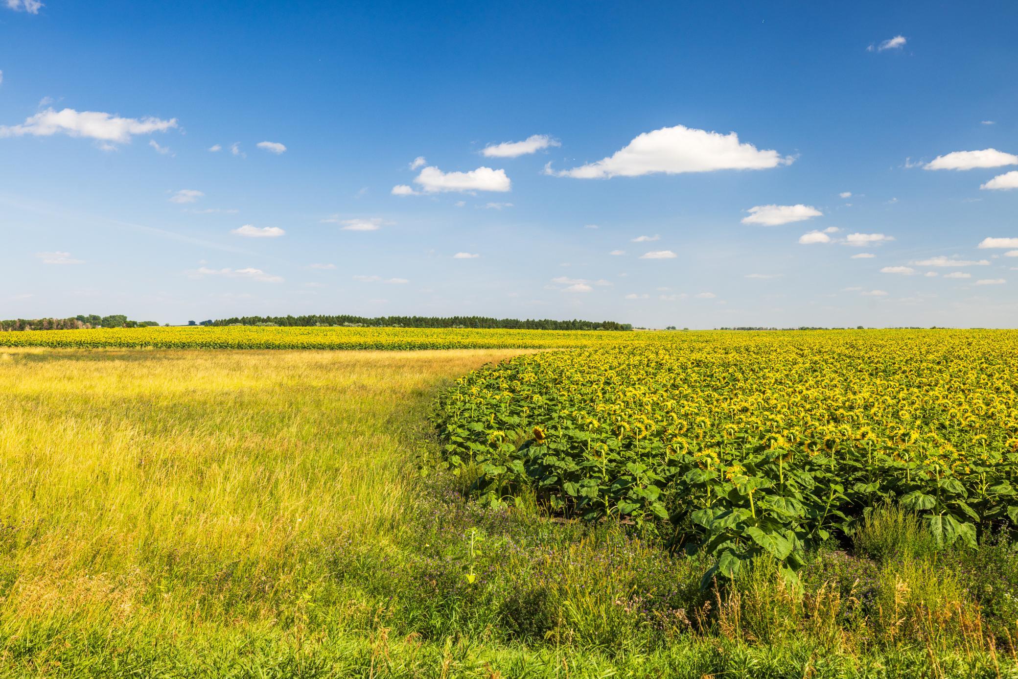 land for sale at TBD 15 Ave NE Lot 1 in Berwick, ND (photo 14 of 31)