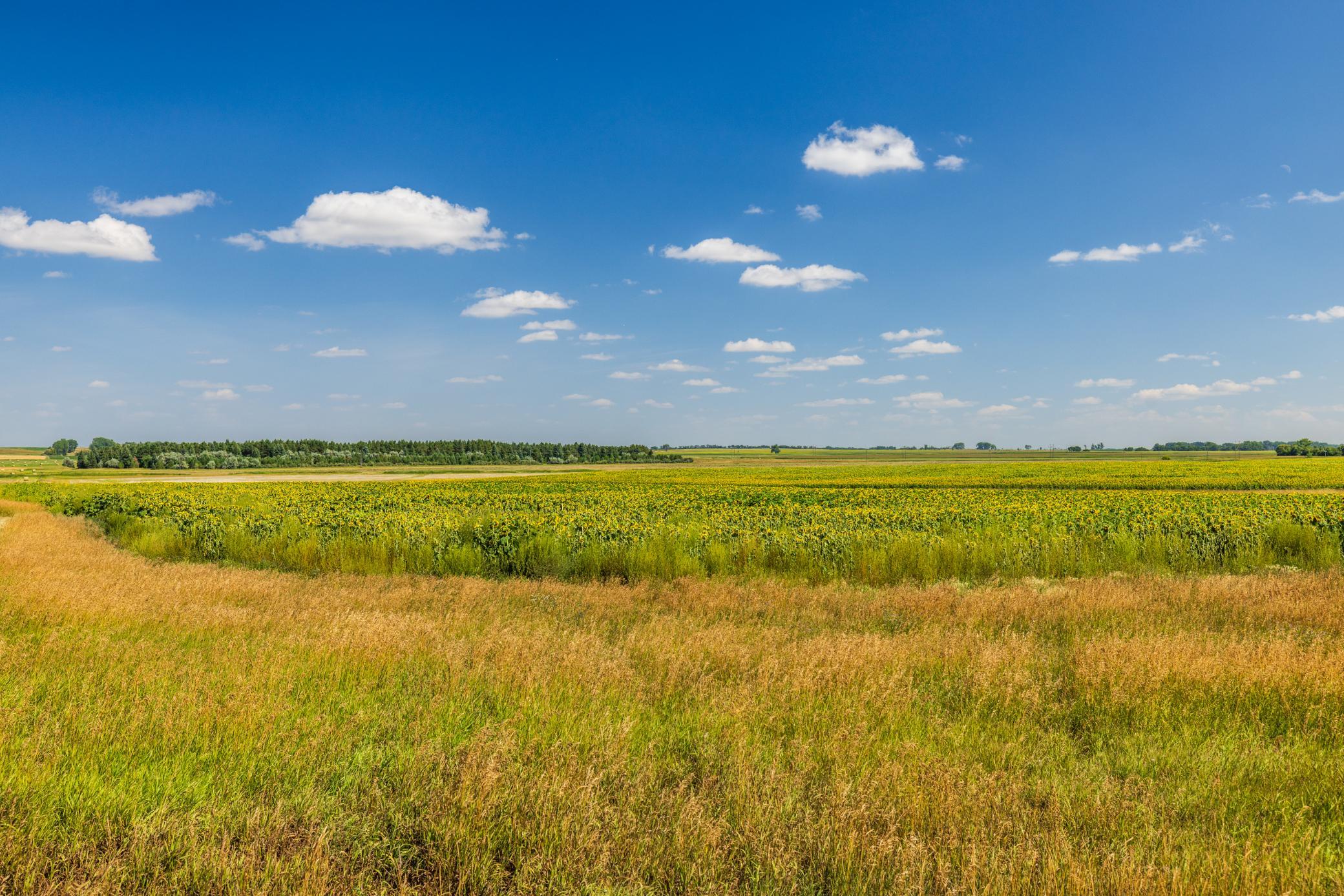 land for sale at TBD 15 Ave NE Lot 1 in Berwick, ND (photo 15 of 31)