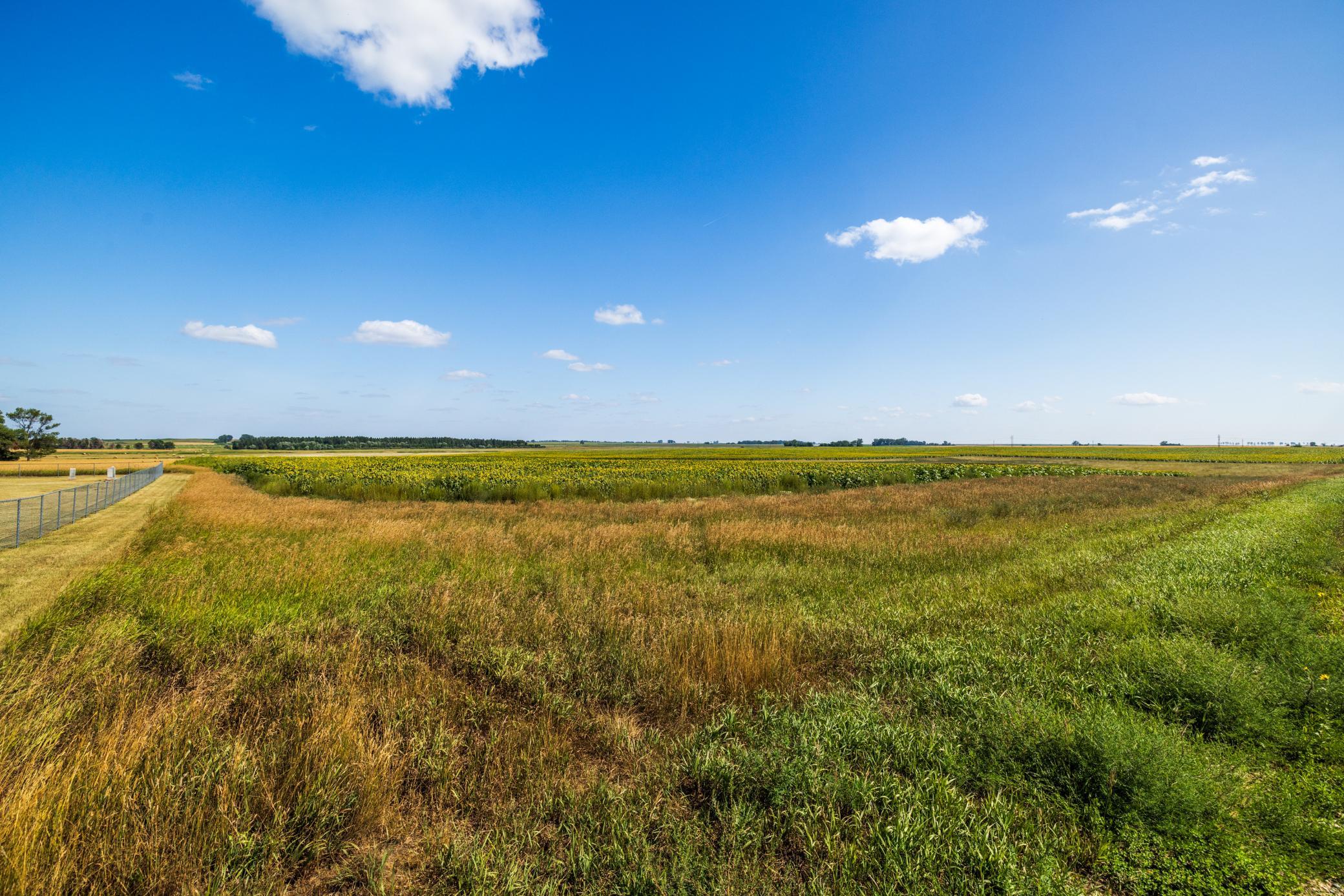 land for sale at TBD 15 Ave NE Lot 1 in Berwick, ND (photo 16 of 31)