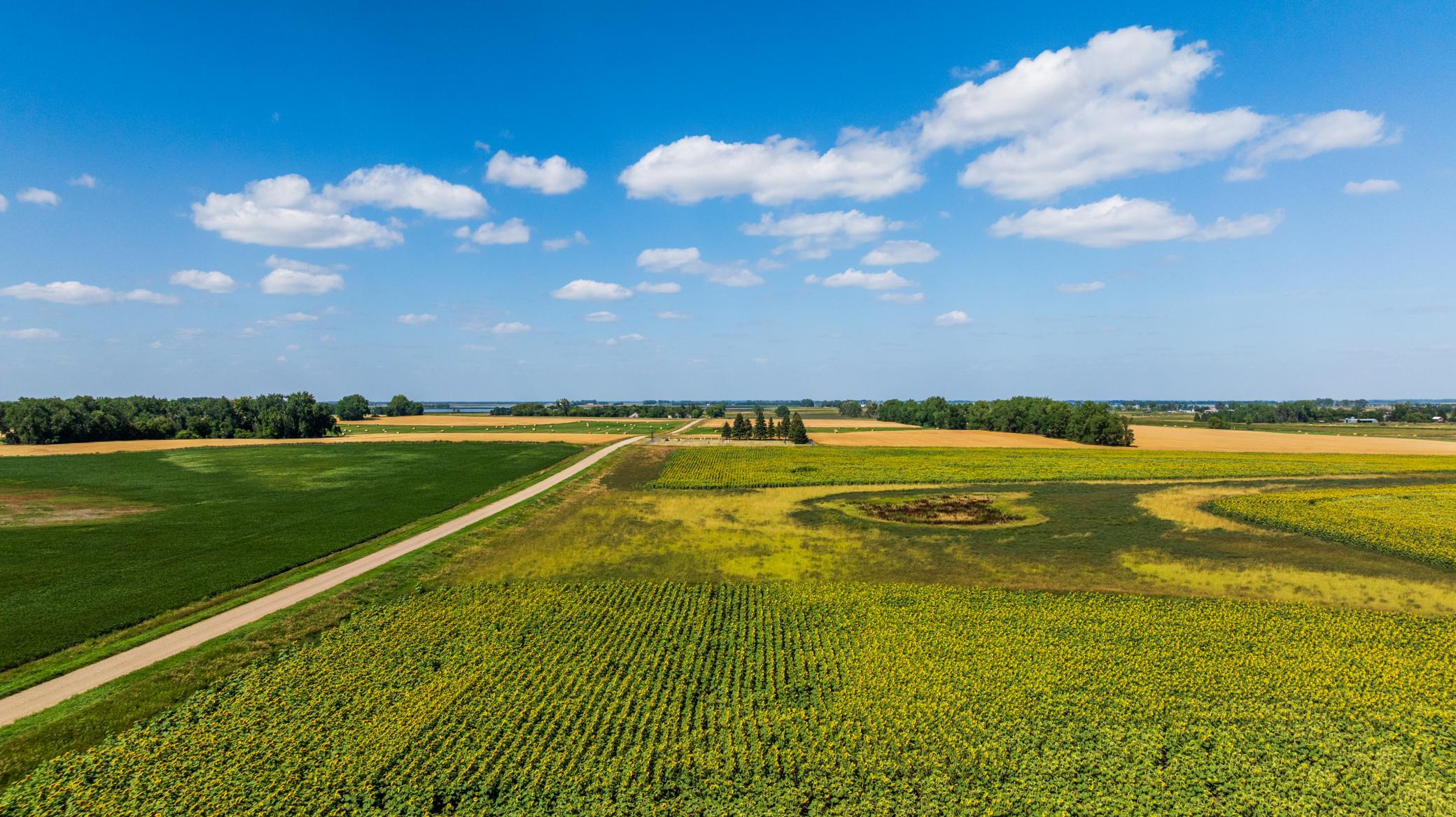 land for sale at TBD 15 Ave NE Lot 1 in Berwick, ND (photo 3 of 31)