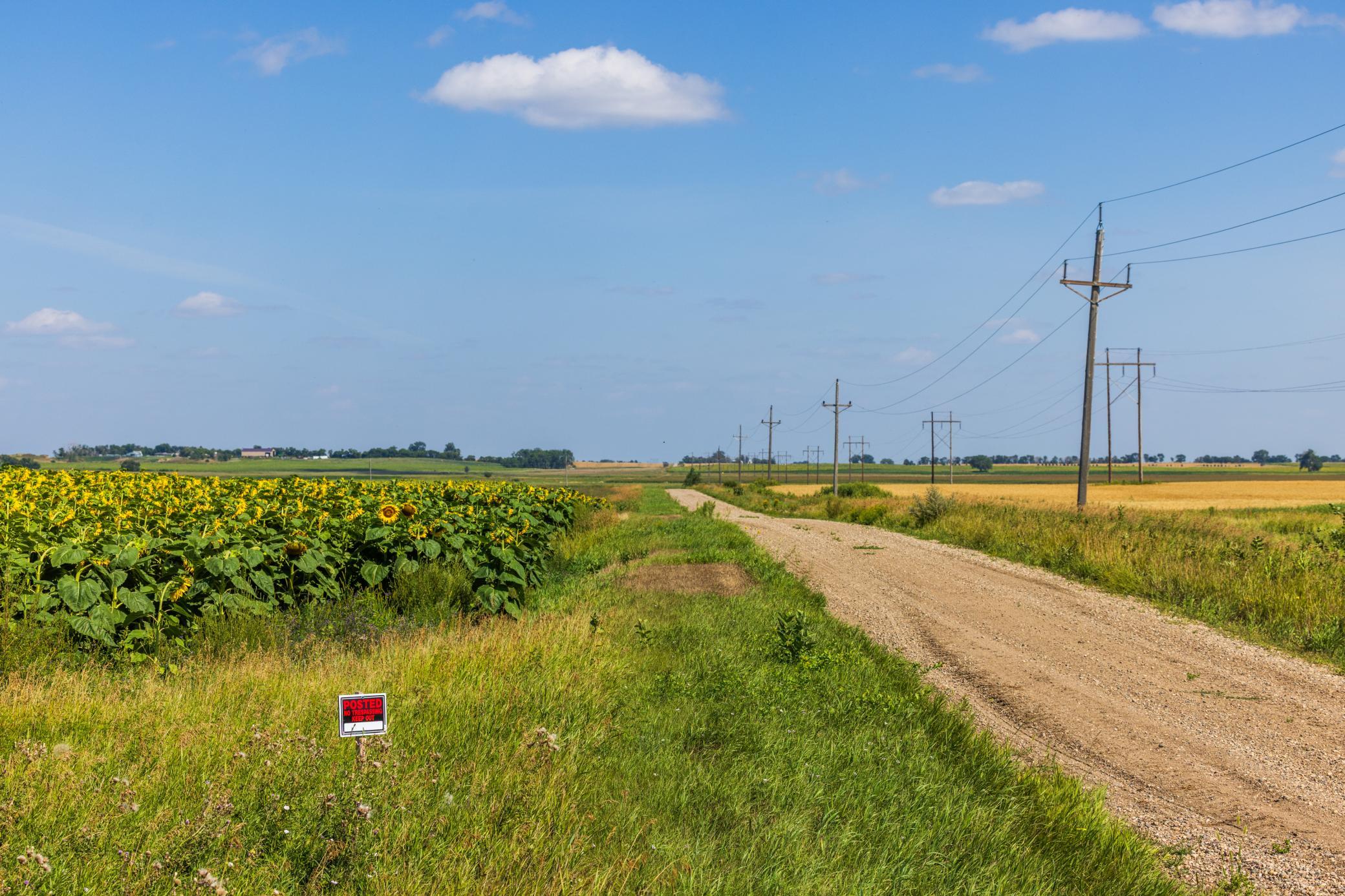 land for sale at TBD 15 Ave NE Lot 1 in Berwick, ND (photo 21 of 31)