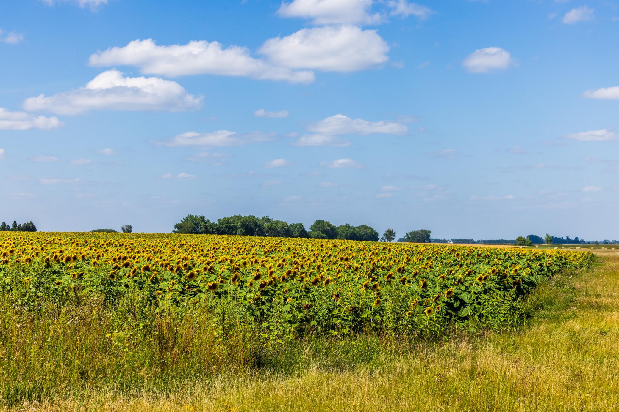 land for sale at TBD 15 Ave NE Lot 1 in Berwick, ND (photo 25 of 31)
