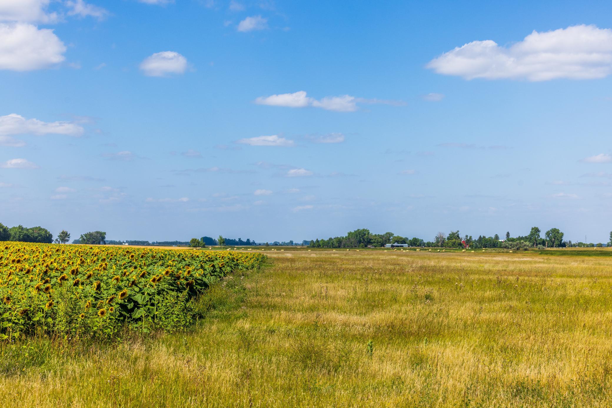 land for sale at TBD 15 Ave NE Lot 1 in Berwick, ND (photo 26 of 31)