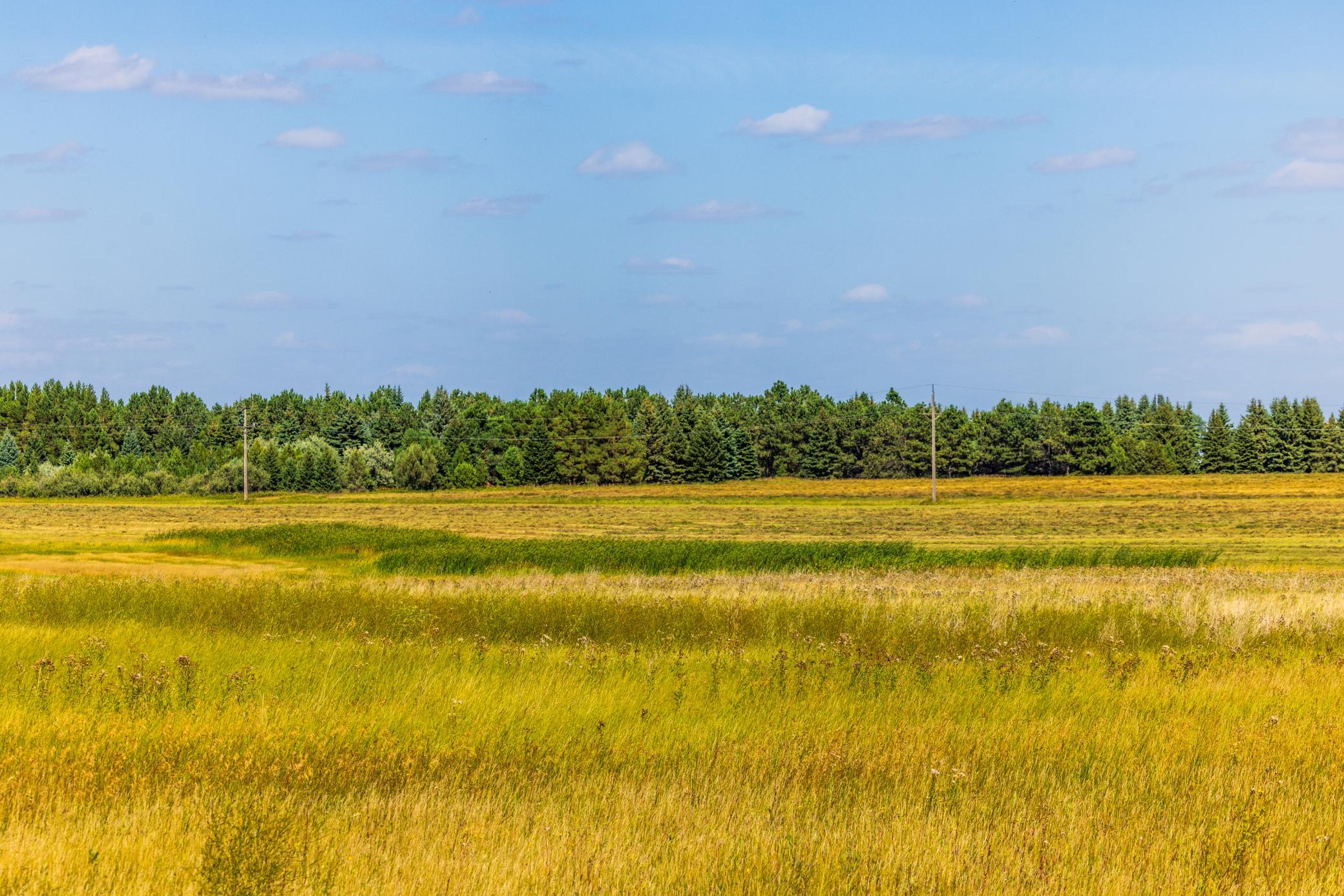 land for sale at TBD 15 Ave NE Lot 1 in Berwick, ND (photo 27 of 31)