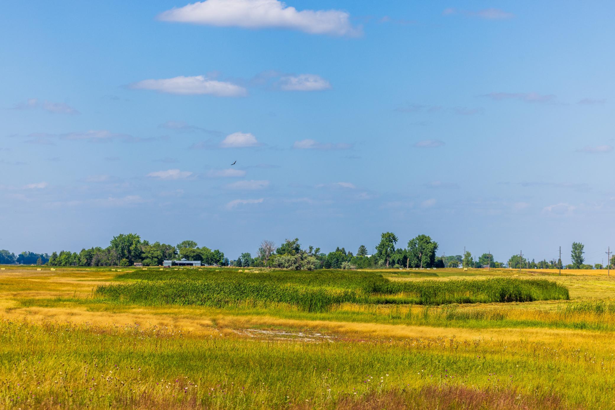 land for sale at TBD 15 Ave NE Lot 1 in Berwick, ND (photo 28 of 31)