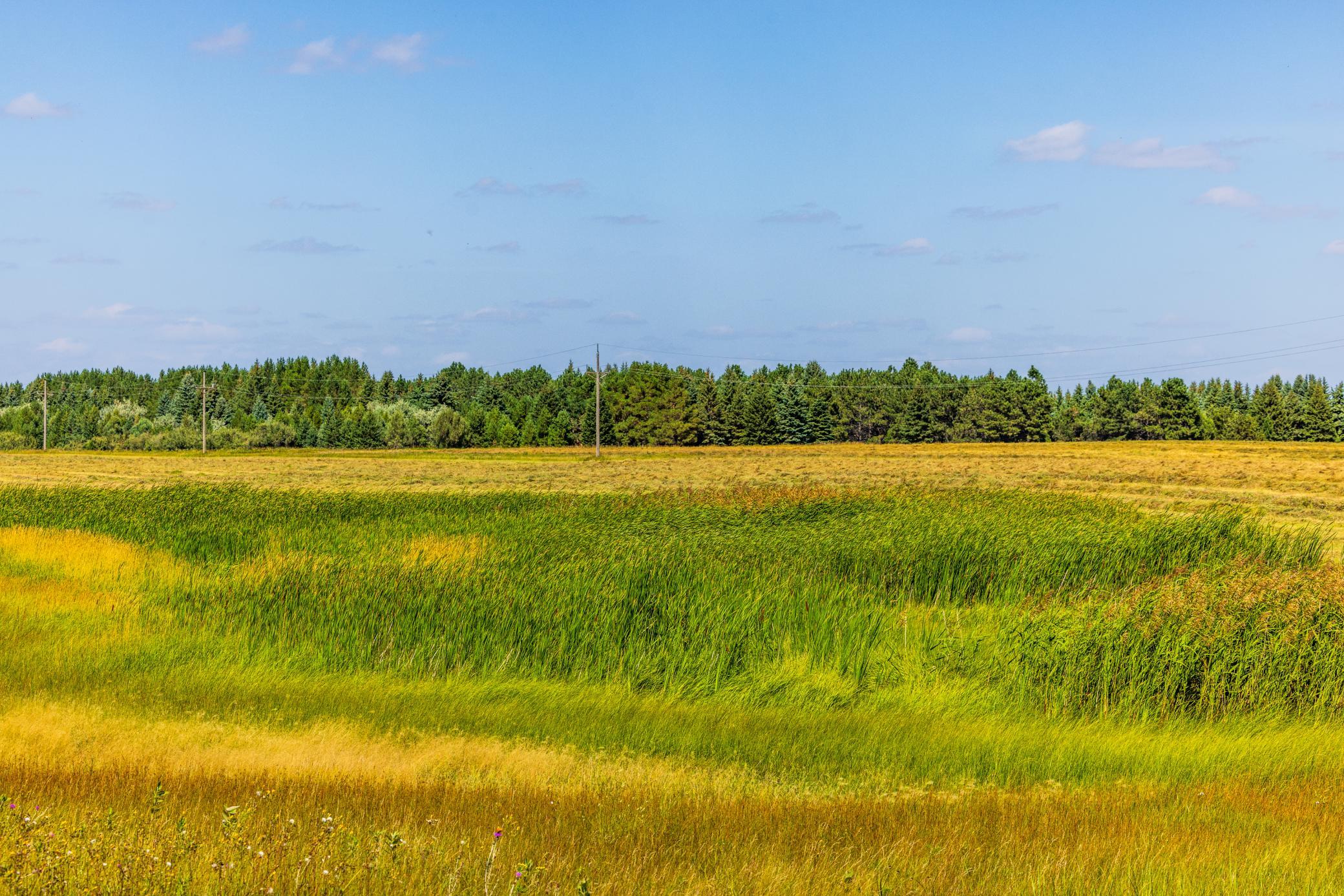 land for sale at TBD 15 Ave NE Lot 1 in Berwick, ND (photo 29 of 31)