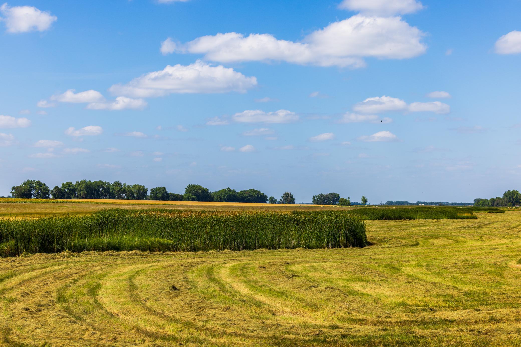 land for sale at TBD 15 Ave NE Lot 1 in Berwick, ND (photo 30 of 31)