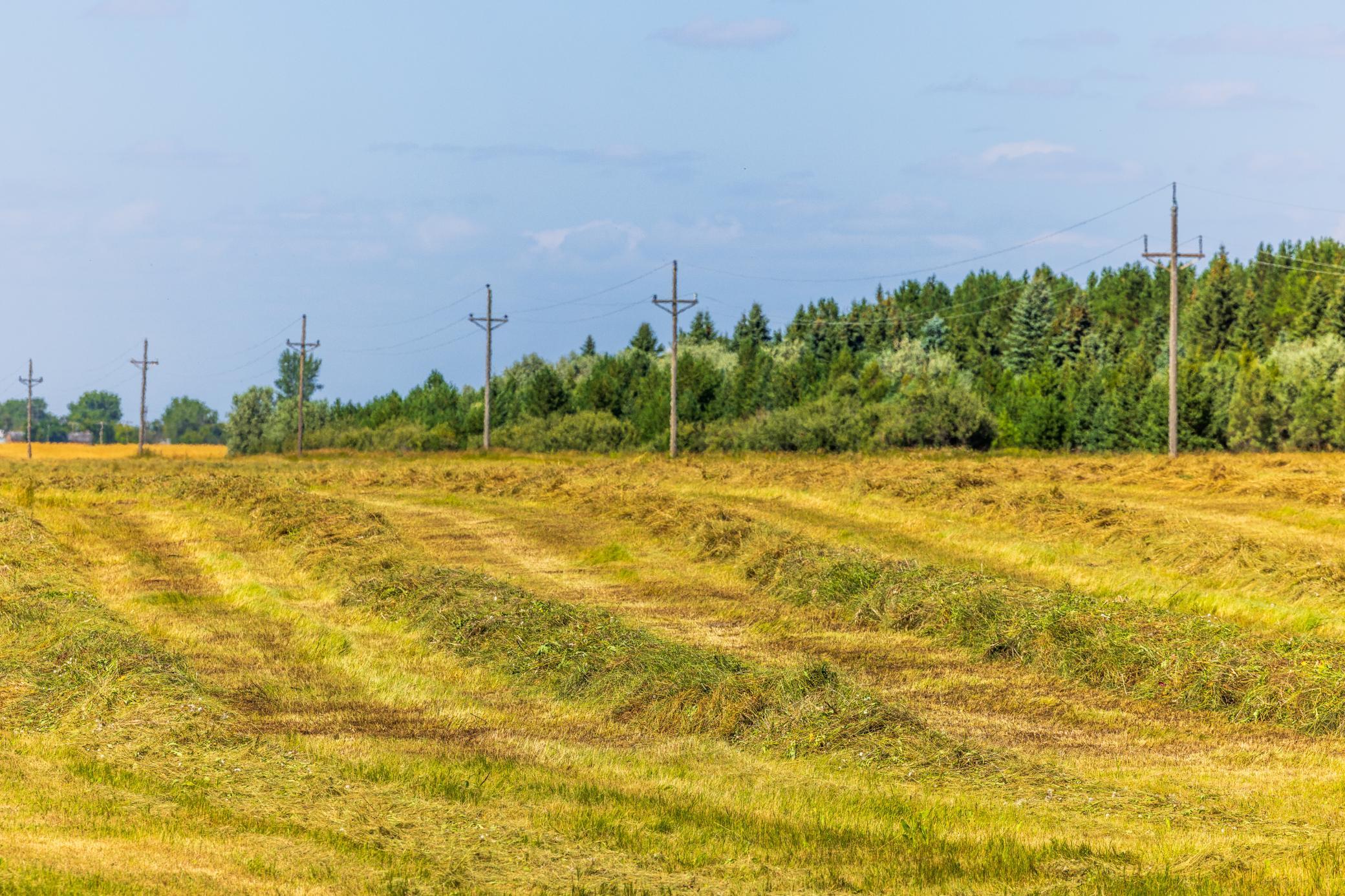 land for sale at TBD 15 Ave NE Lot 1 in Berwick, ND (photo 31 of 31)