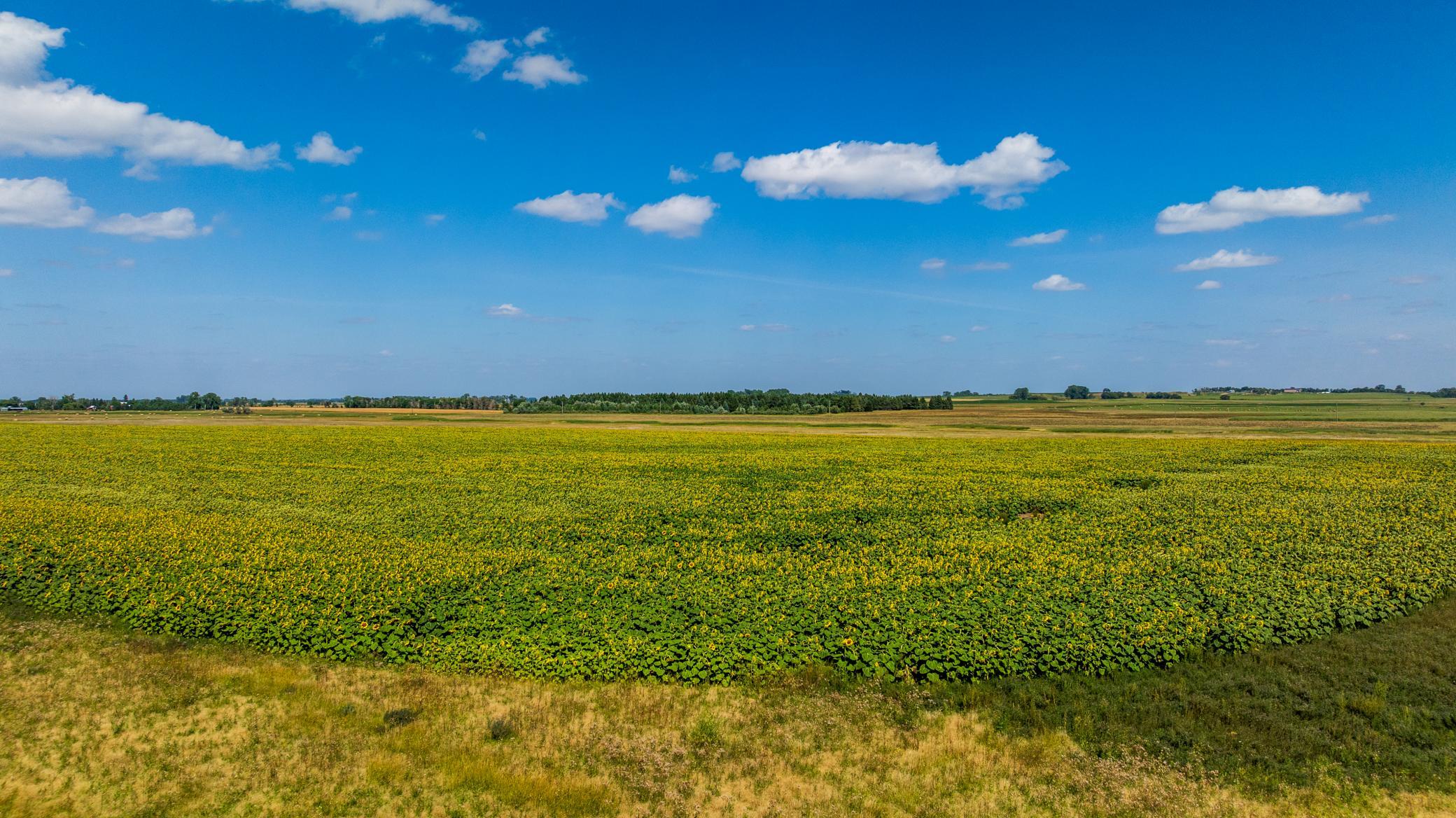 land for sale at TBD 15 Ave NE Lot 1 in Berwick, ND (photo 5 of 31)