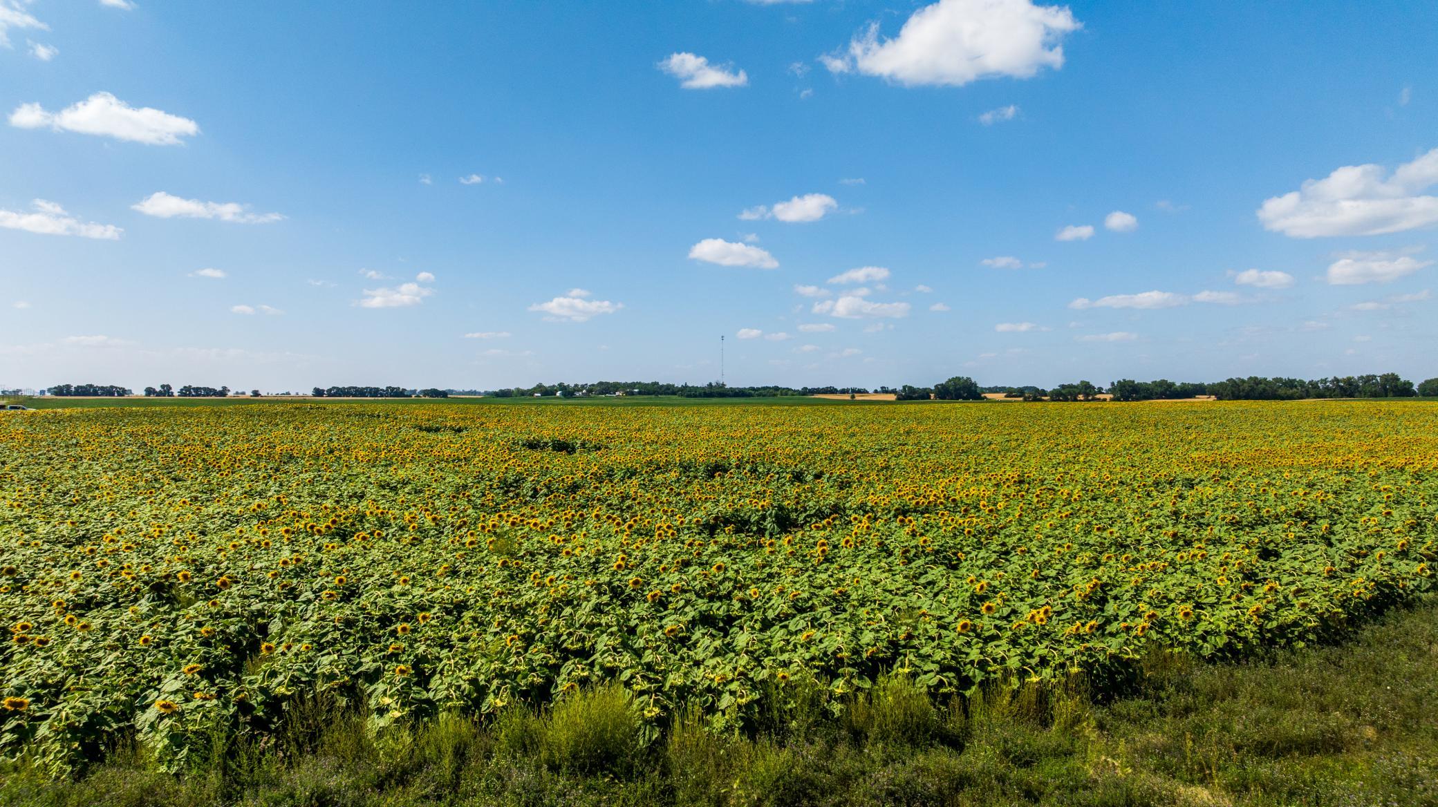 land for sale at TBD 15 Ave NE Lot 1 in Berwick, ND (photo 6 of 31)
