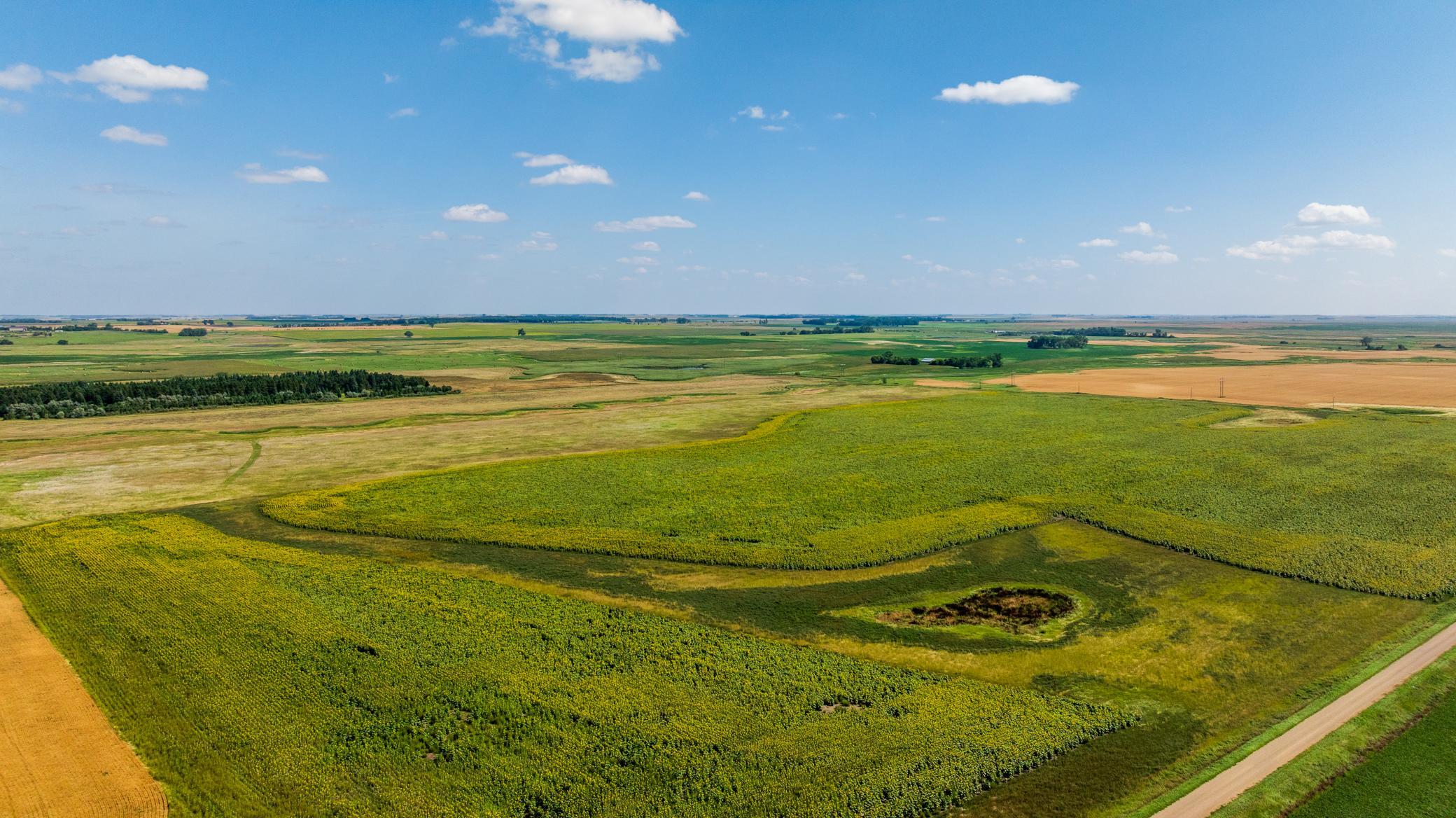 land for sale at TBD 15 Ave NE Lot 1 in Berwick, ND (photo 7 of 31)