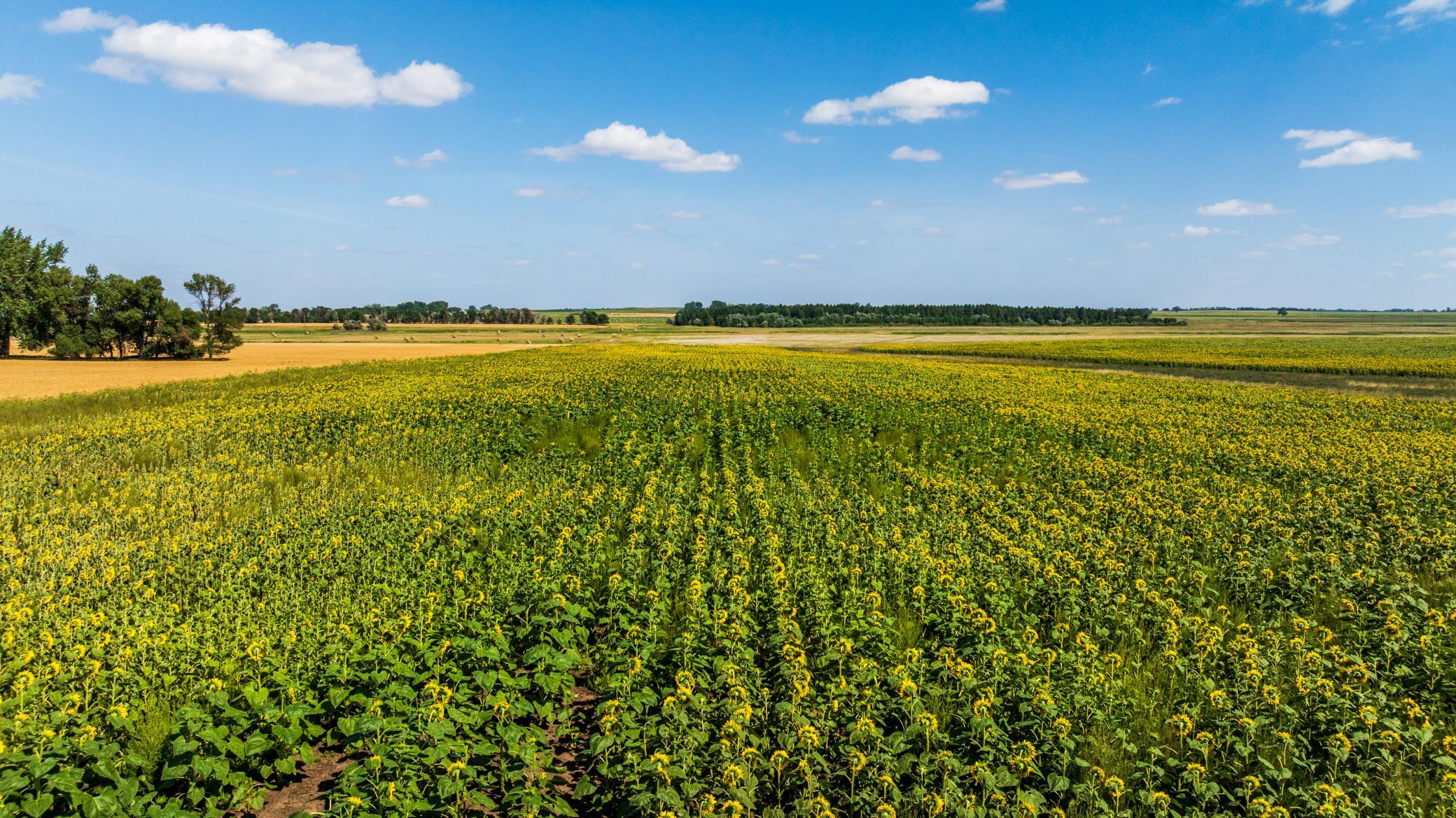 land for sale at TBD 15 Ave NE Lot 1 in Berwick, ND (photo 8 of 31)