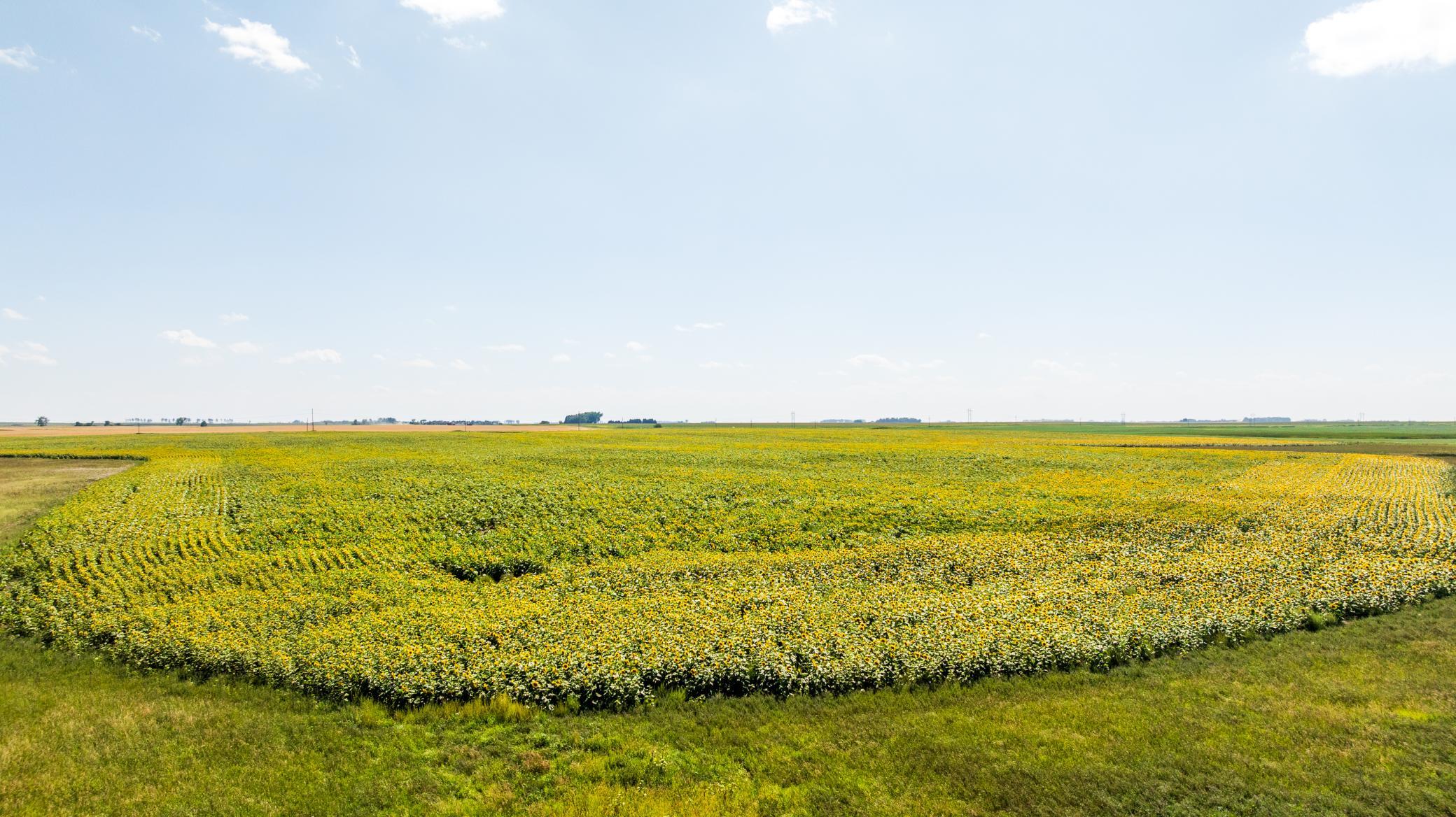 land for sale at TBD 15 Ave NE Lot 1 in Berwick, ND (photo 10 of 31)
