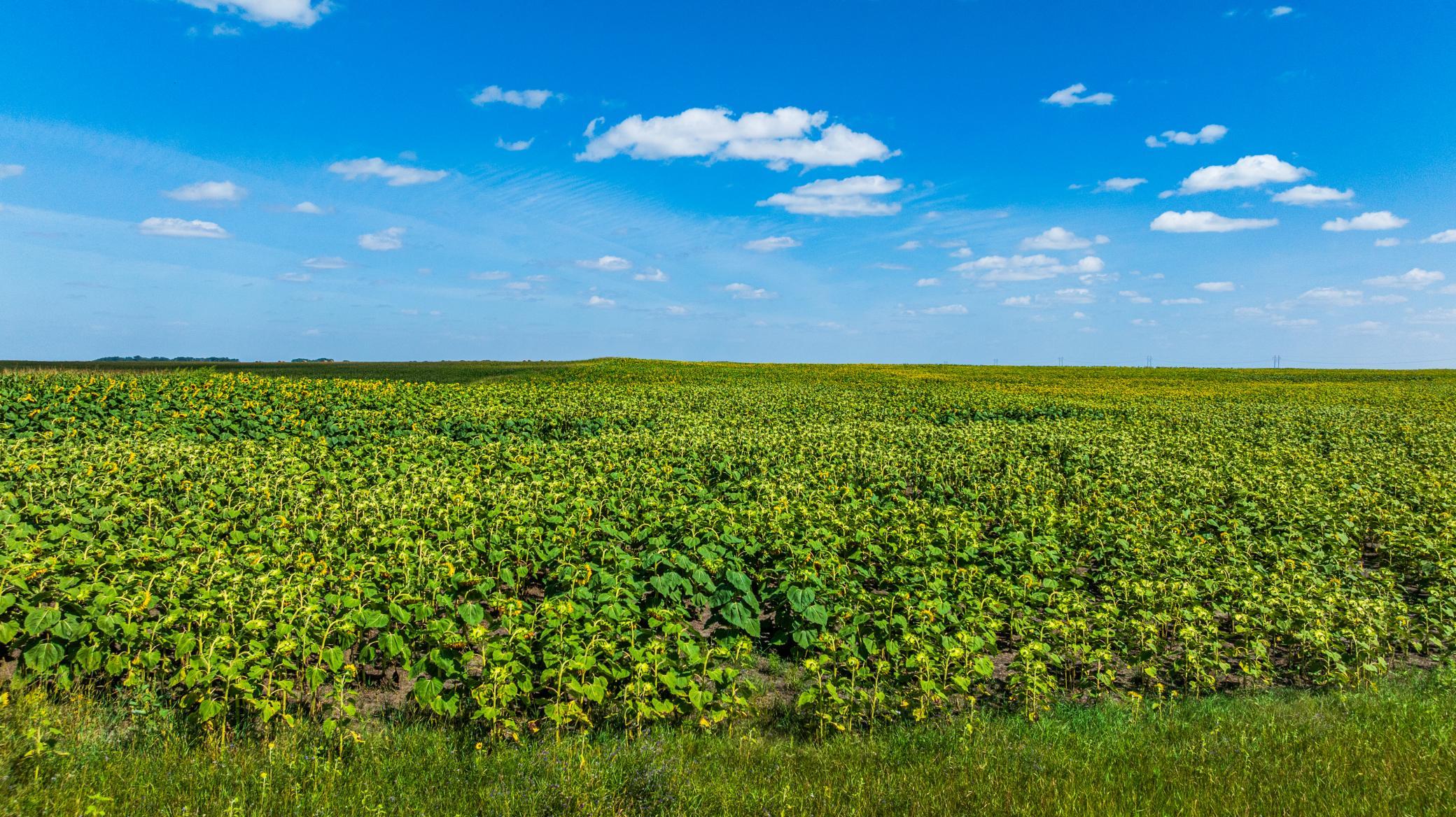 land for sale at TBD 15 Ave NE Lot 2 in Berwick, ND (photo 11 of 25)