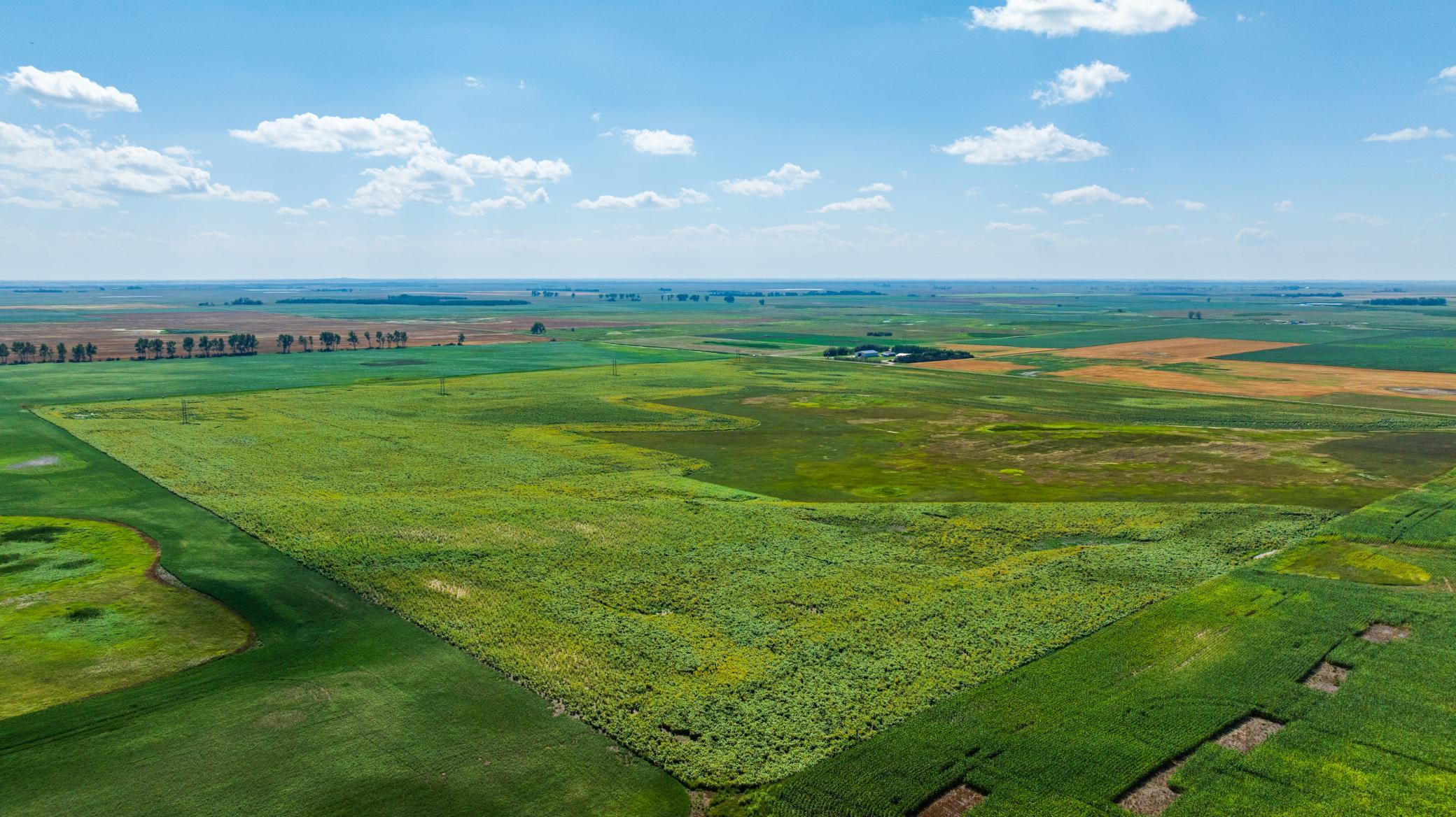 land for sale at TBD 15 Ave NE Lot 2 in Berwick, ND (photo 12 of 25)
