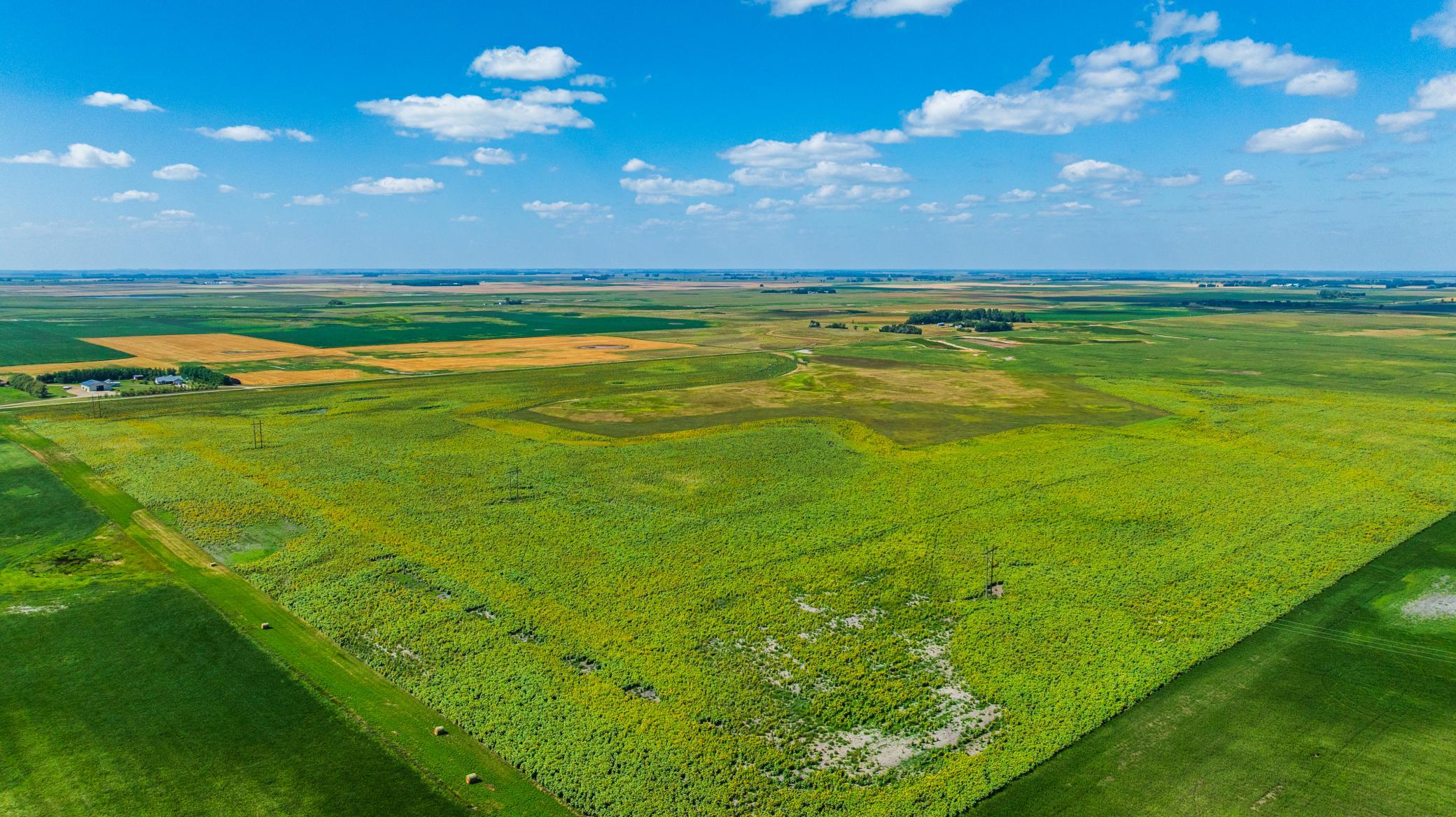 land for sale at TBD 15 Ave NE Lot 2 in Berwick, ND (photo 14 of 25)