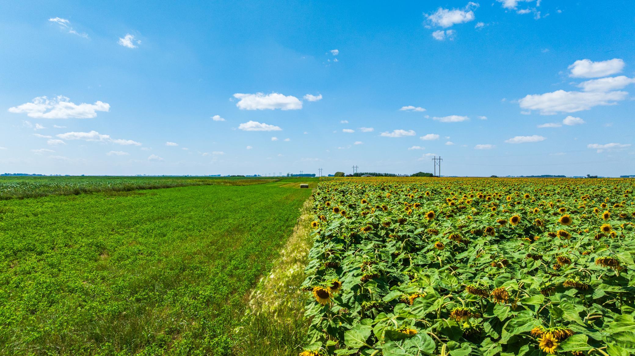 land for sale at TBD 15 Ave NE Lot 2 in Berwick, ND (photo 15 of 25)