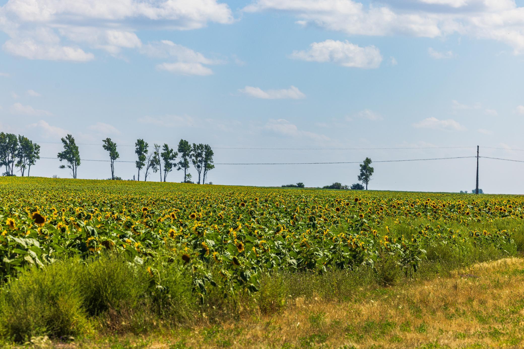 land for sale at TBD 15 Ave NE Lot 2 in Berwick, ND (photo 21 of 25)