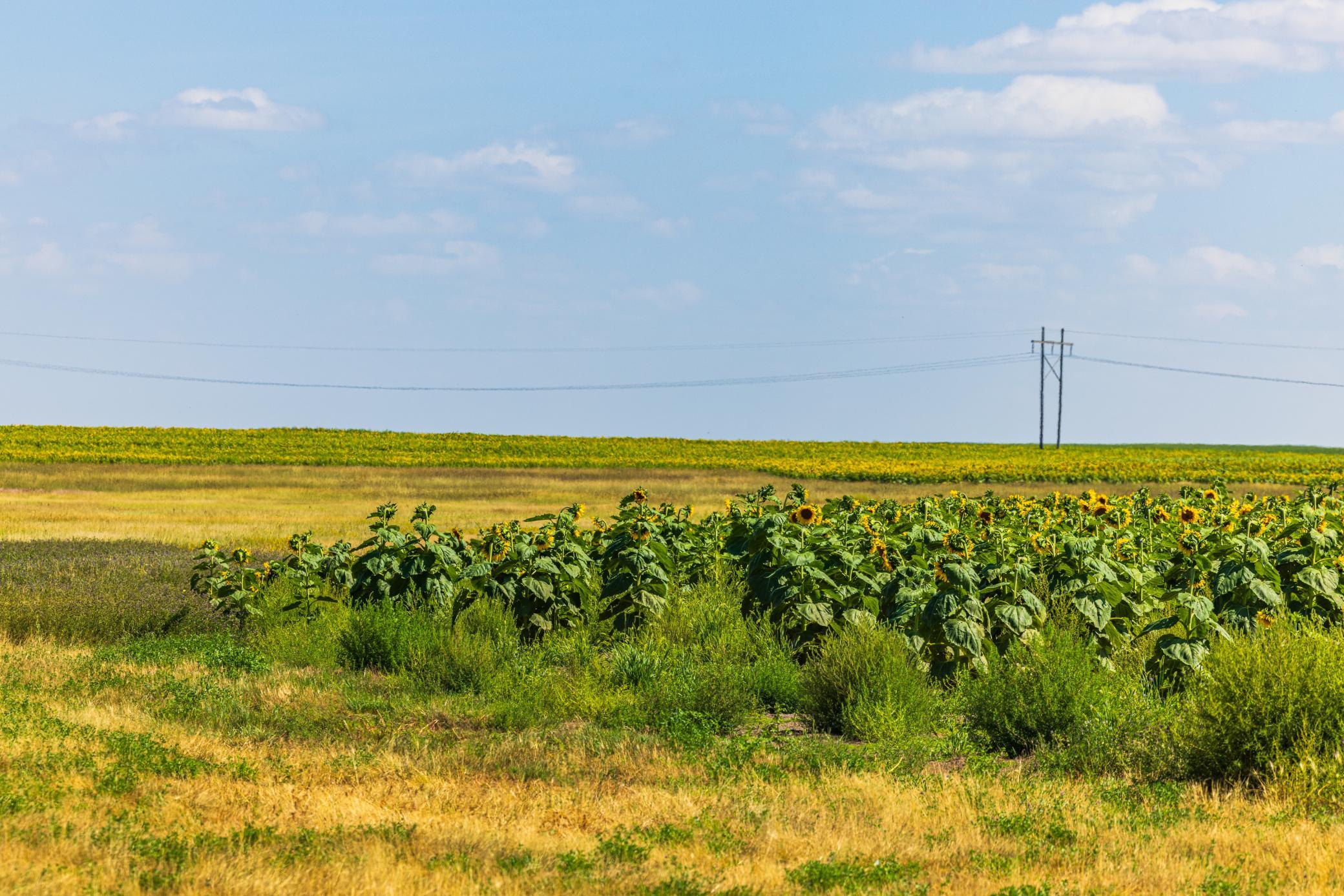 land for sale at TBD 15 Ave NE Lot 2 in Berwick, ND (photo 22 of 25)