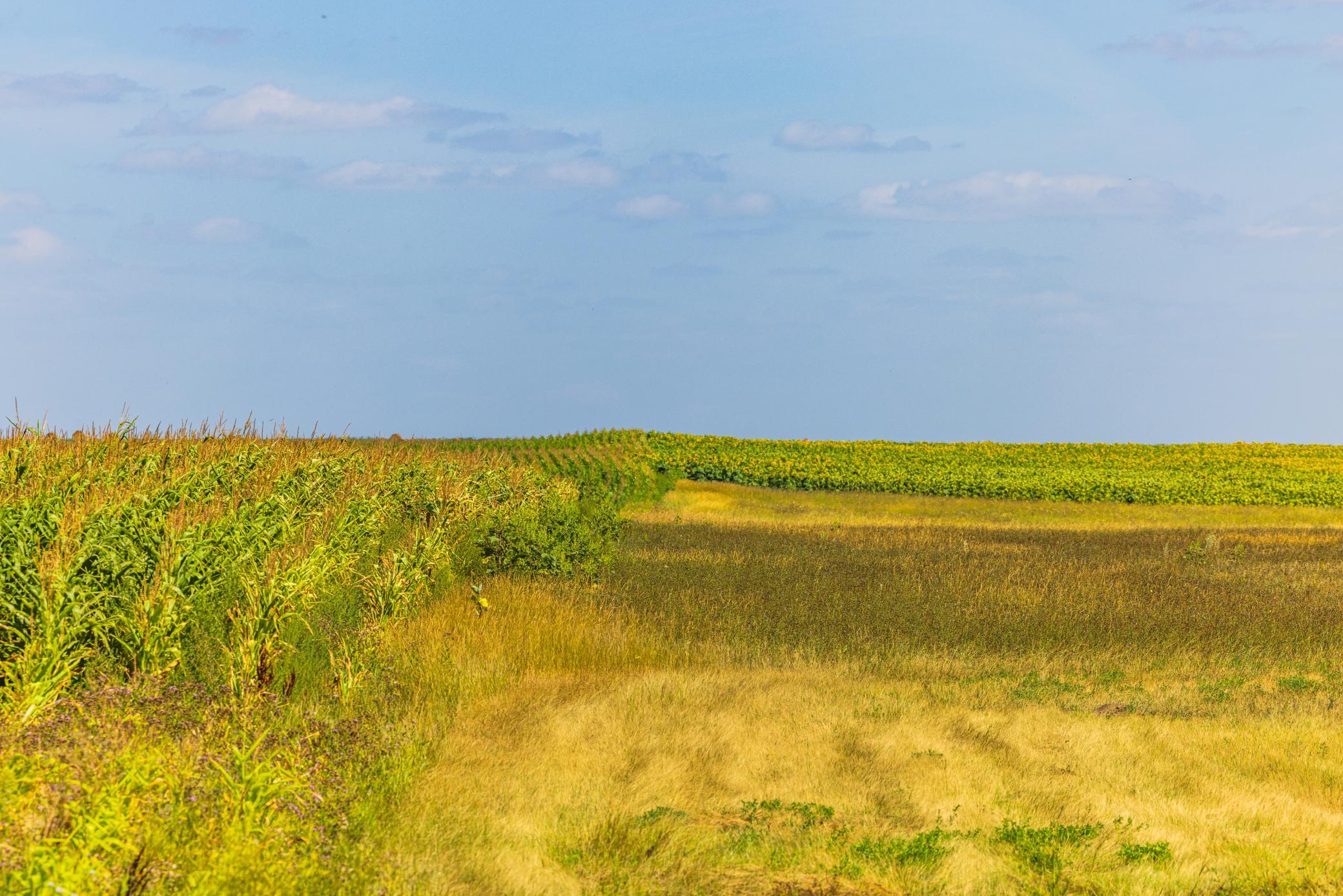 land for sale at TBD 15 Ave NE Lot 2 in Berwick, ND (photo 23 of 25)