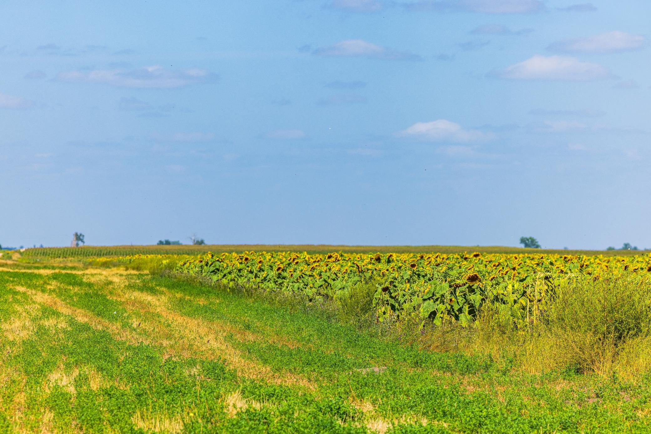 land for sale at TBD 15 Ave NE Lot 2 in Berwick, ND (photo 4 of 25)