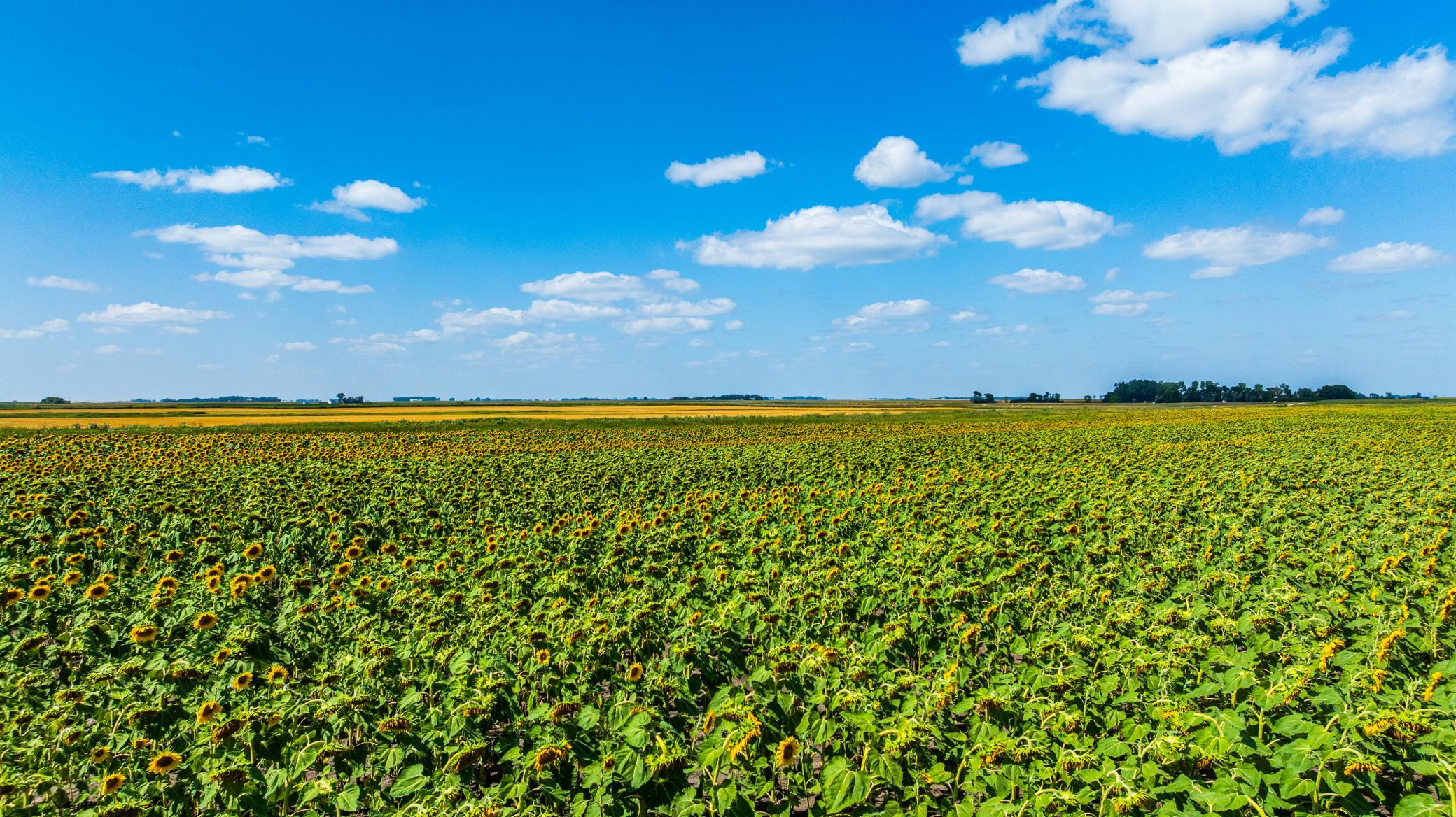 land for sale at TBD 15 Ave NE Lot 2 in Berwick, ND (photo 7 of 25)