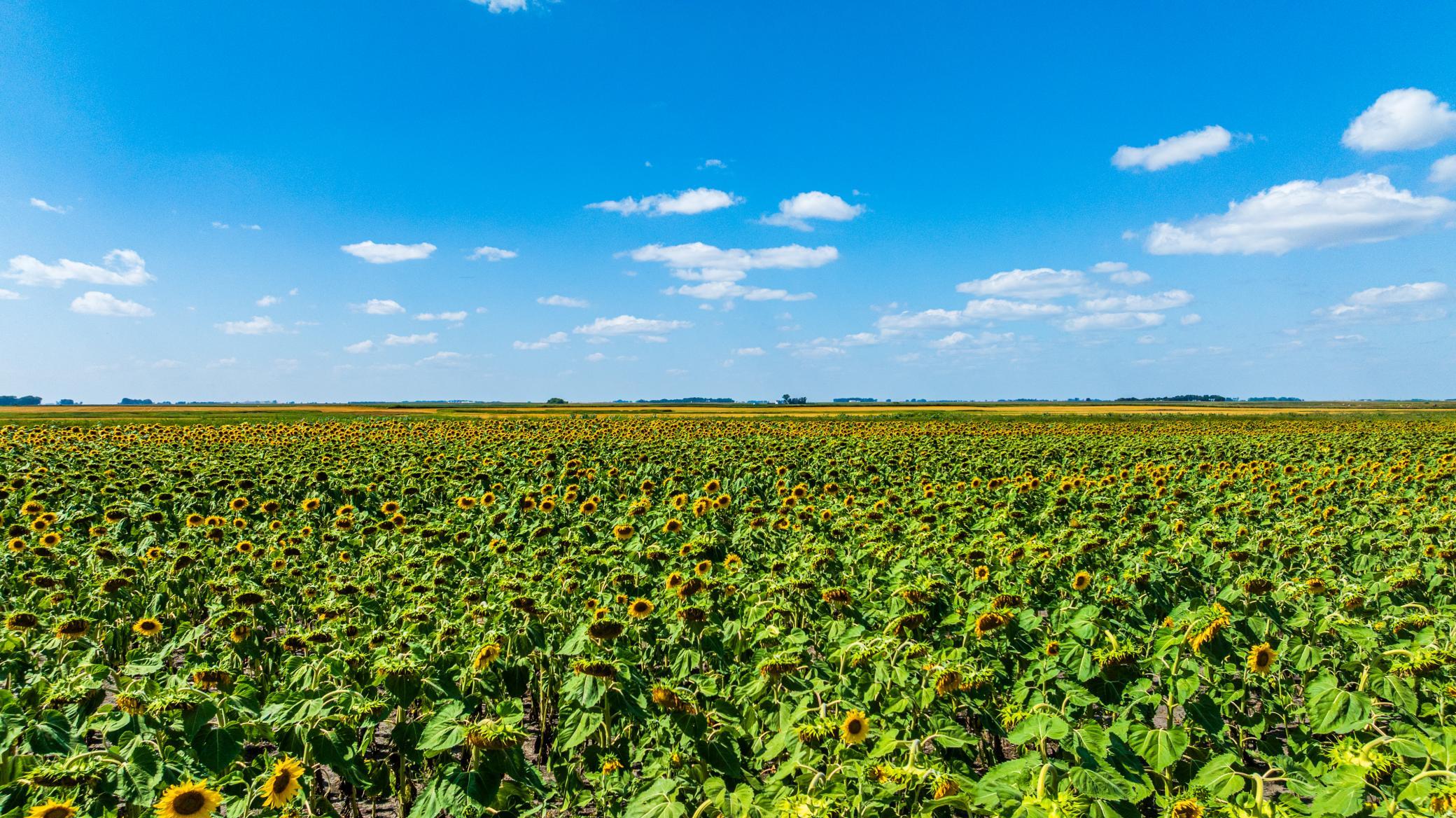 land for sale at TBD 15 Ave NE Lot 2 in Berwick, ND (photo 8 of 25)