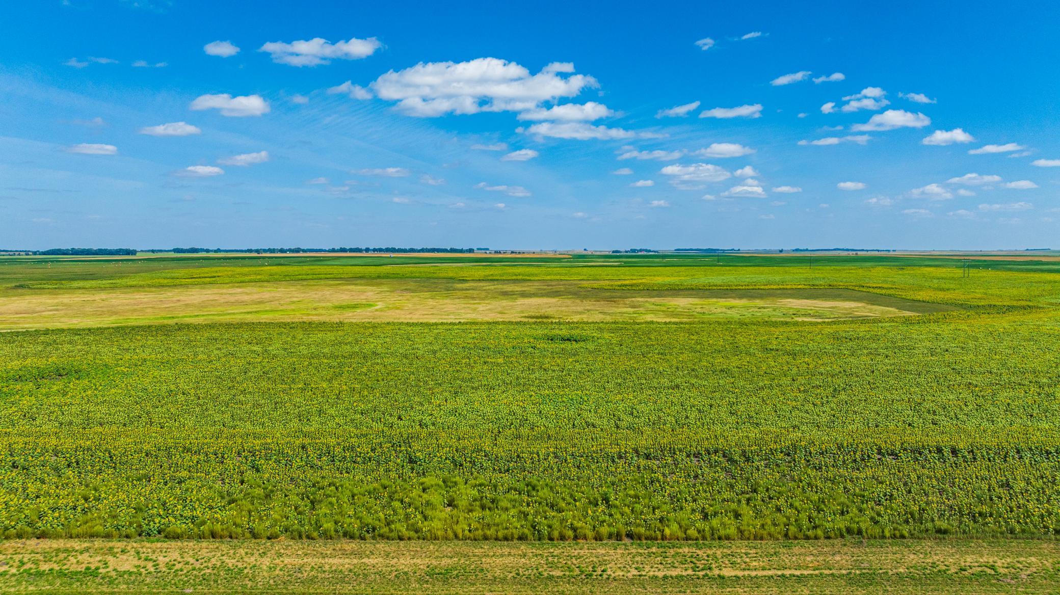 land for sale at TBD 15 Ave NE Lot 2 in Berwick, ND (photo 9 of 25)
