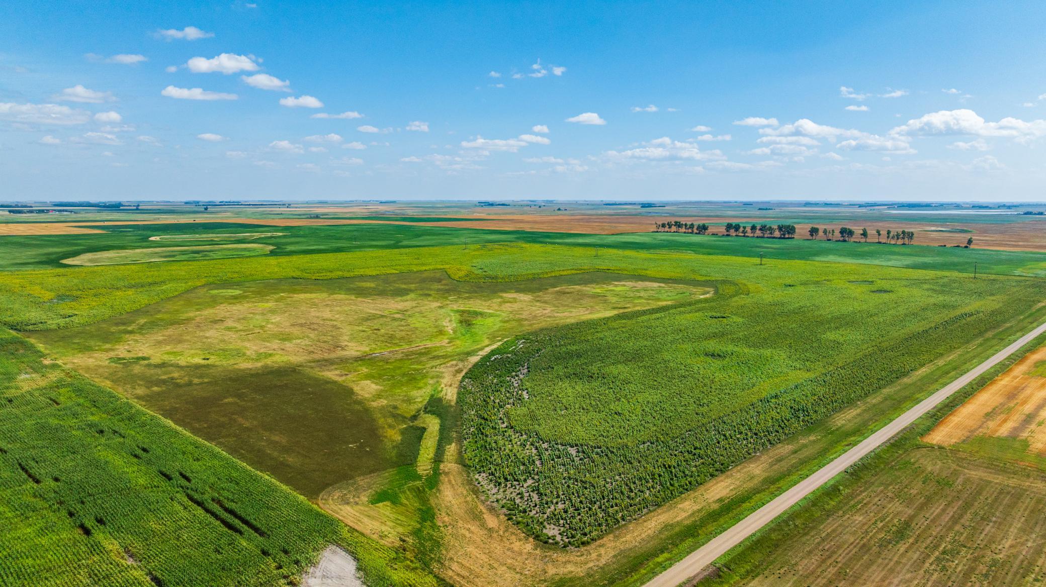 land for sale at TBD 15 Ave NE Lot 2 in Berwick, ND (photo 10 of 25)