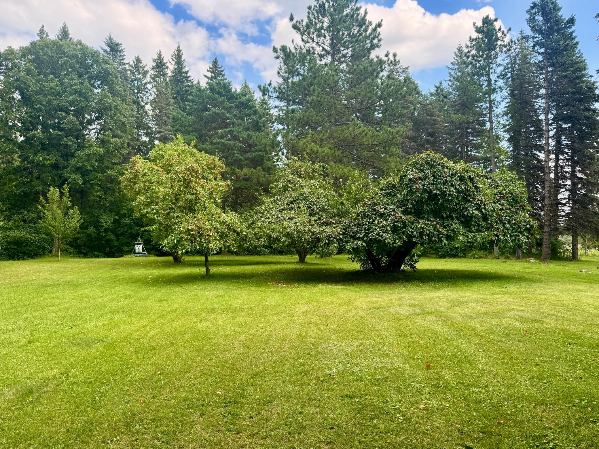 1910 single family home for sale at 69305 Kirkwood Drive in Roosevelt, MN — 4 bed, 2 bath (photo 42 of 53)