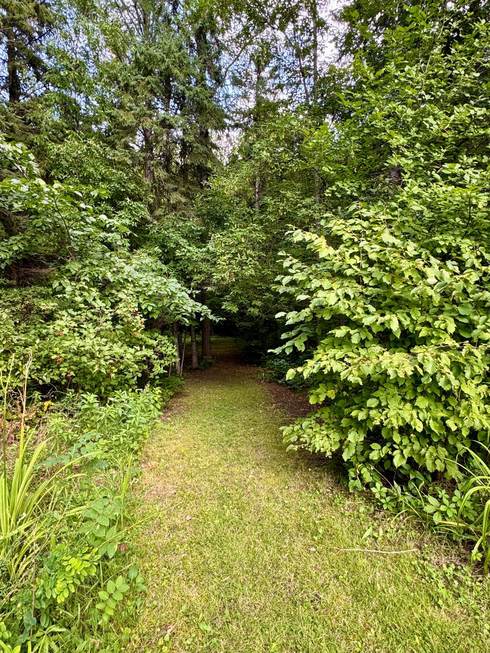 1910 single family home for sale at 69305 Kirkwood Drive in Roosevelt, MN — 4 bed, 2 bath (photo 46 of 53)