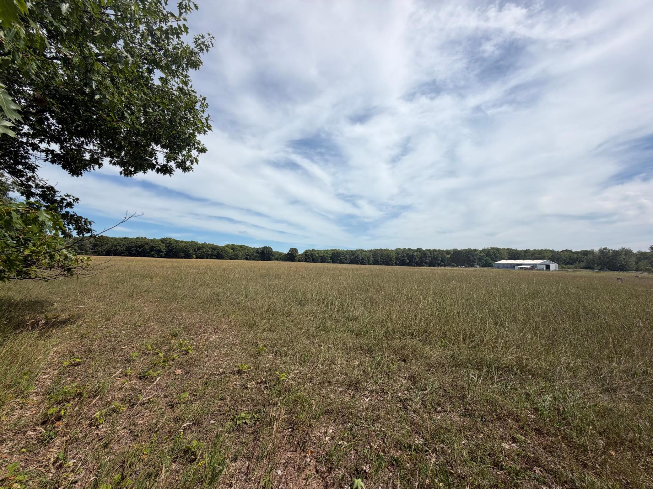 land for sale at TBD Lookout Road in Ironton, MN (photo 6 of 10)