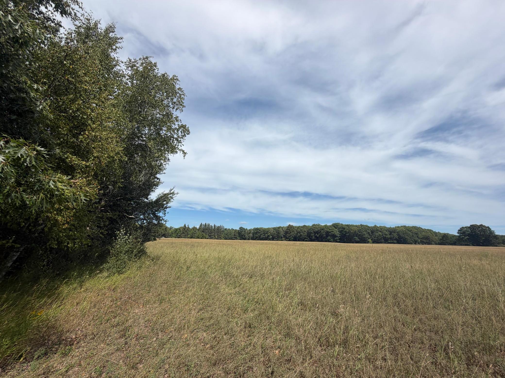 land for sale at TBD Lookout Road in Ironton, MN (photo 7 of 10)