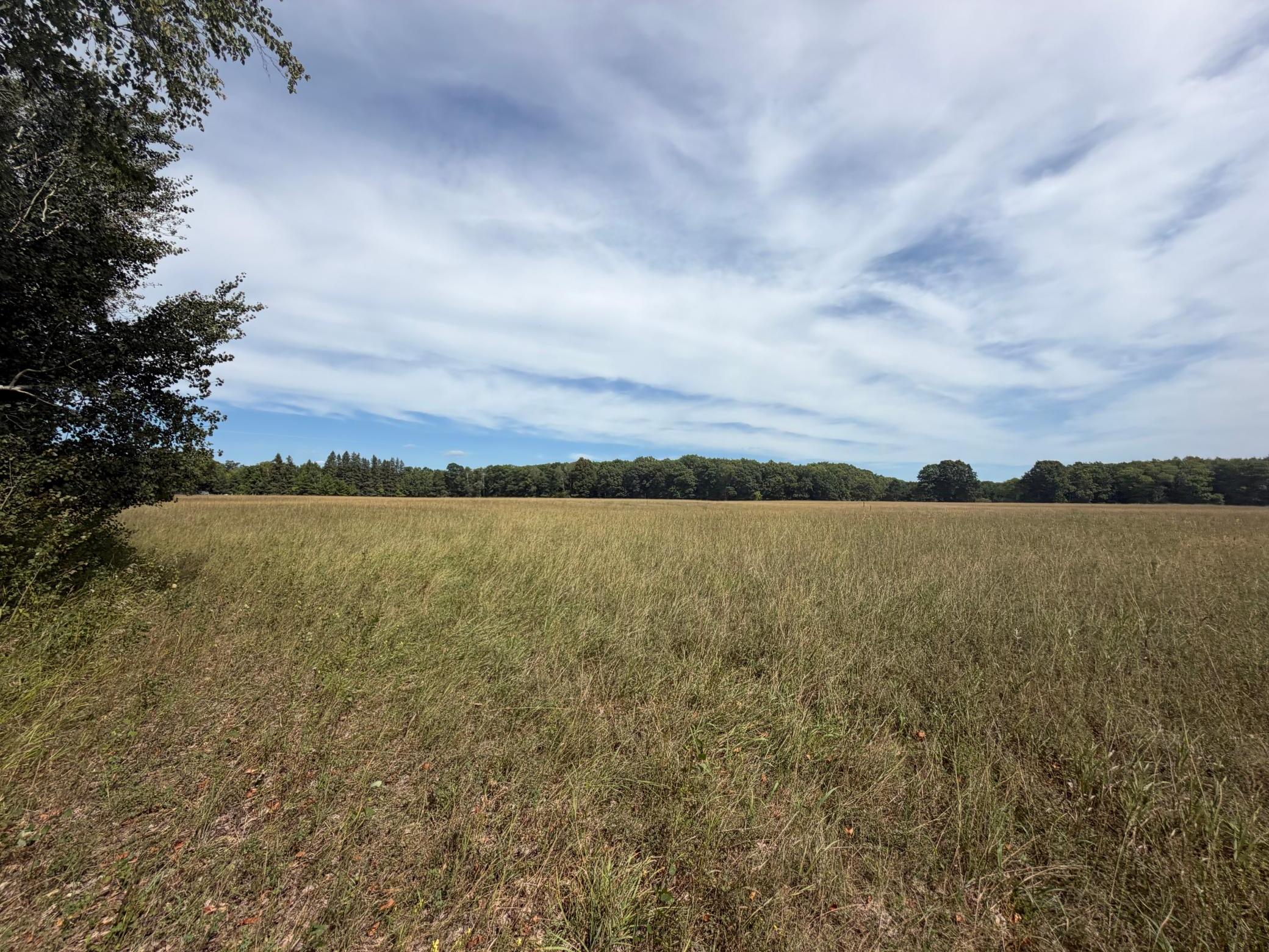 land for sale at TBD Lookout Road in Ironton, MN (photo 9 of 10)