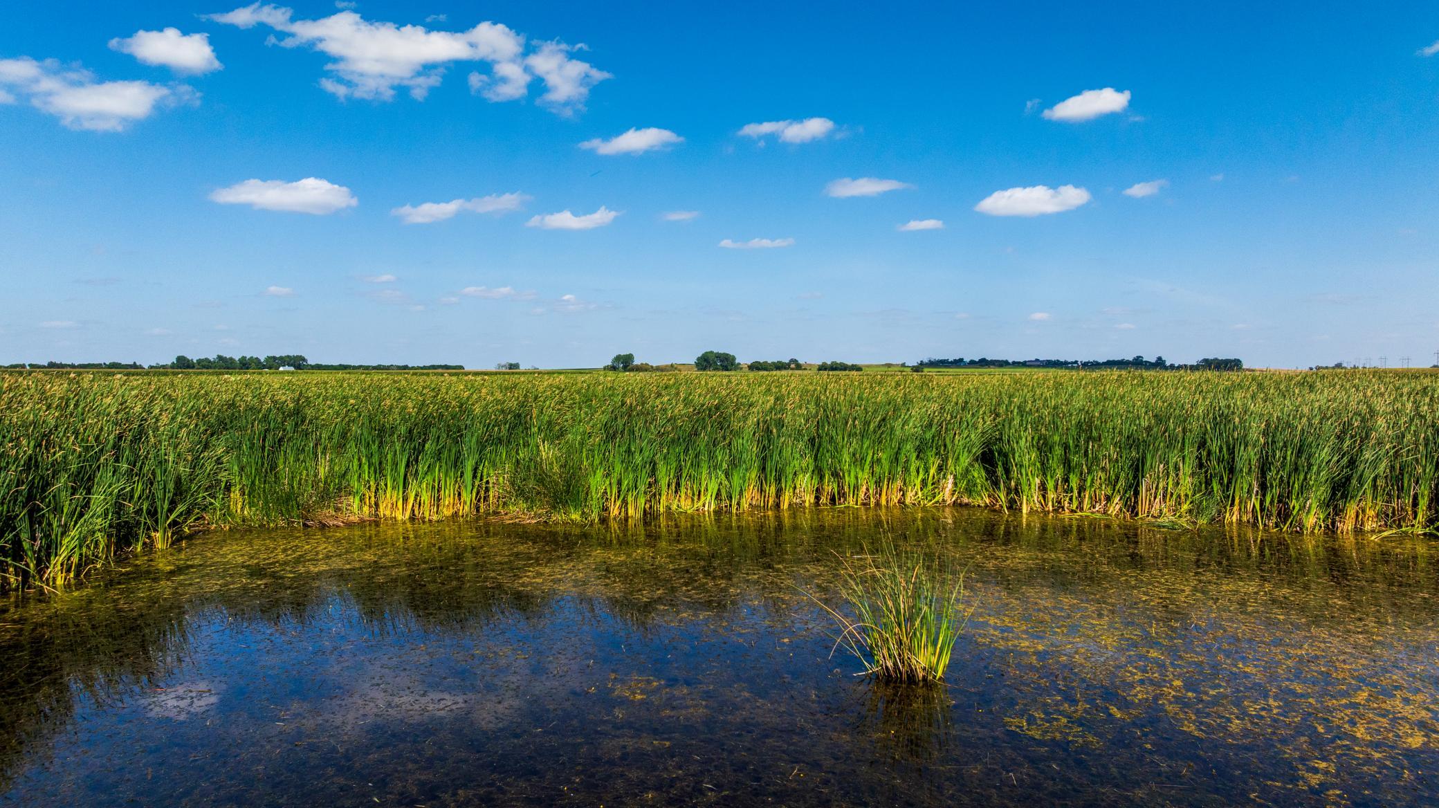 land for sale at TBD Berwick Lane Lot 5 in Berwick, ND (photo 11 of 22)