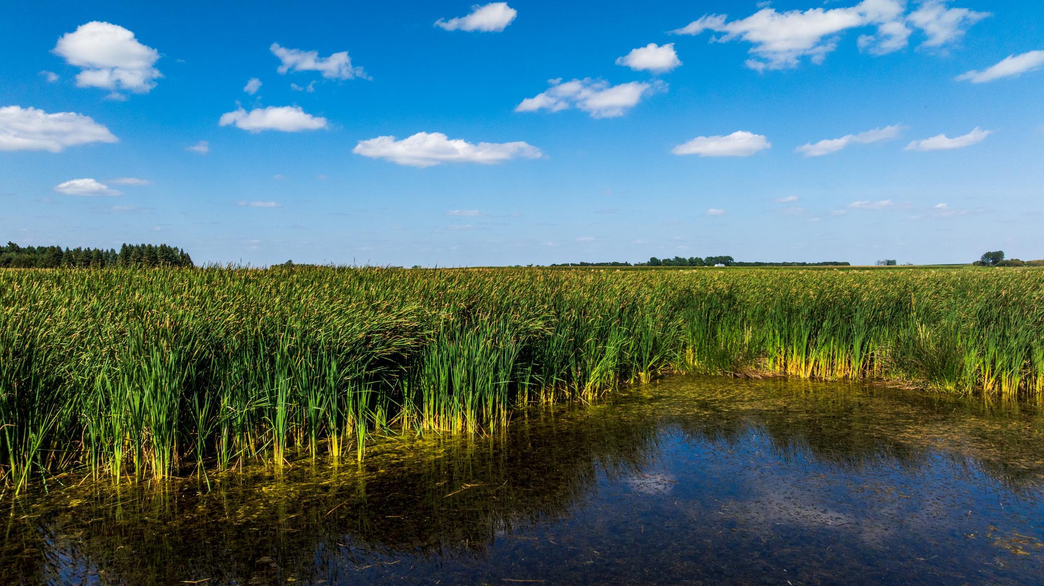 land for sale at TBD Berwick Lane Lot 5 in Berwick, ND (photo 12 of 22)