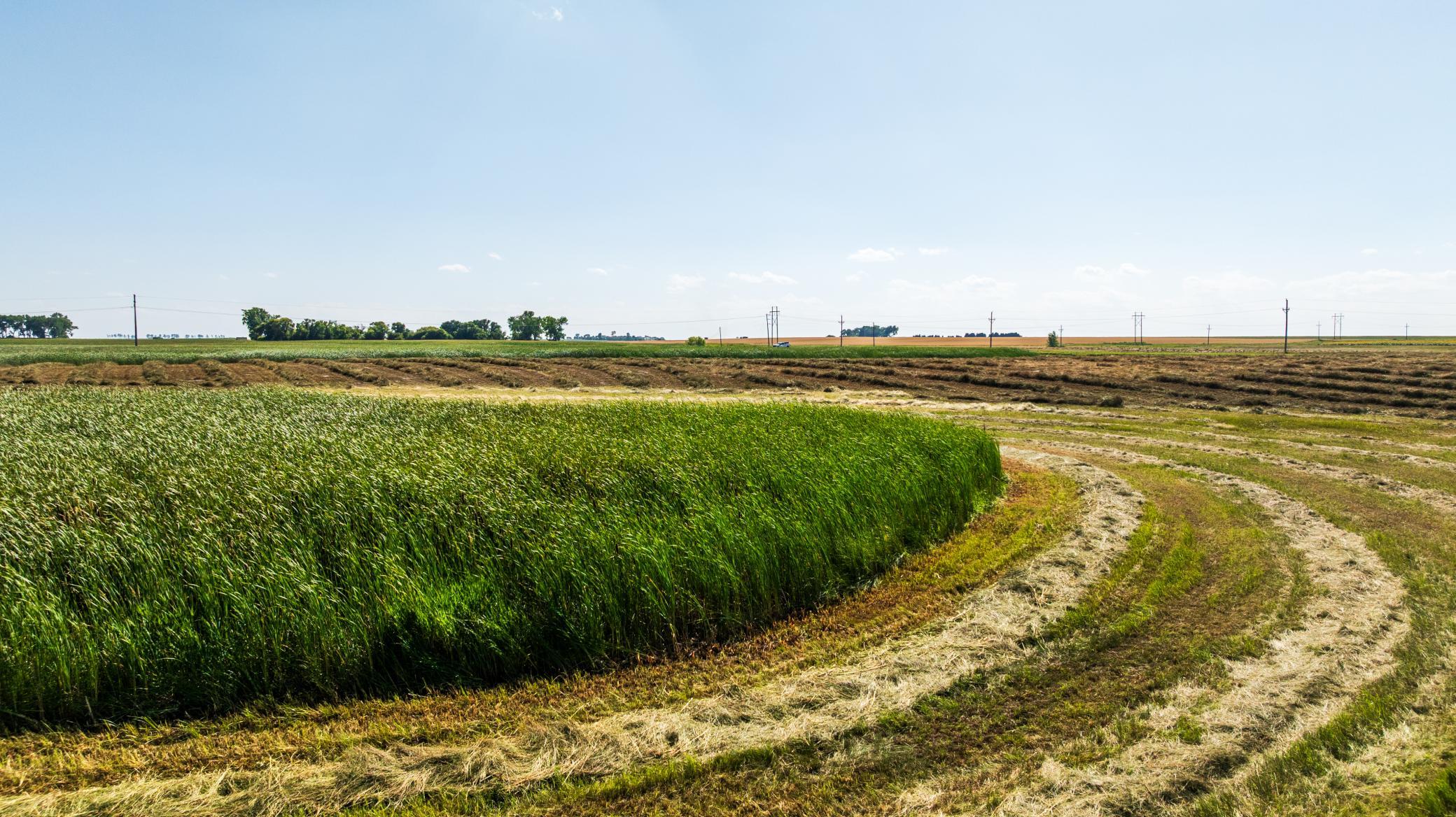 land for sale at TBD Berwick Lane Lot 5 in Berwick, ND (photo 19 of 22)