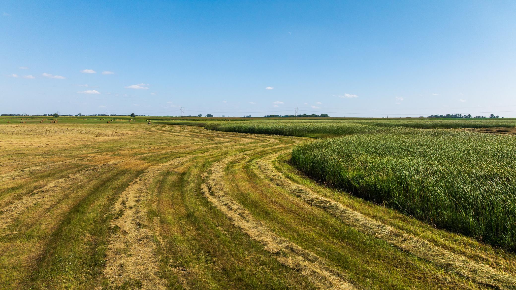 land for sale at TBD Berwick Lane Lot 5 in Berwick, ND (photo 20 of 22)
