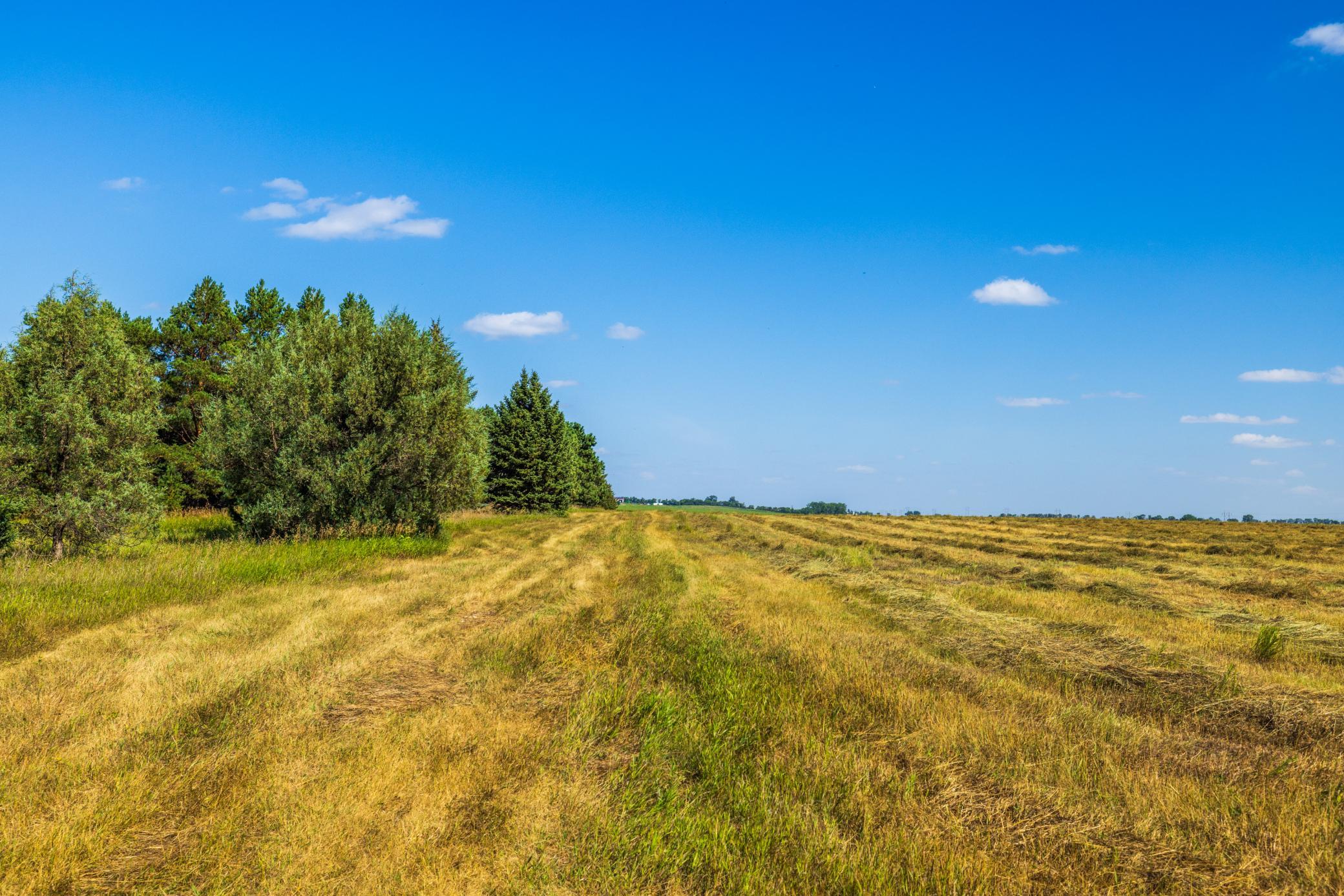 land for sale at TBD Berwick Lane Lot 5 in Berwick, ND (photo 21 of 22)