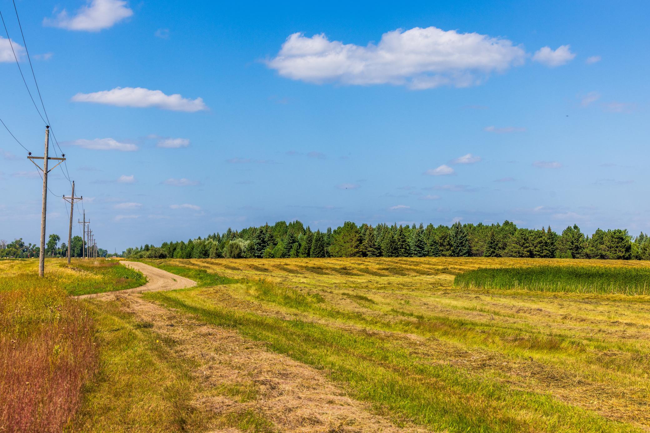 land for sale at TBD Berwick Lane Lot 5 in Berwick, ND (photo 5 of 22)