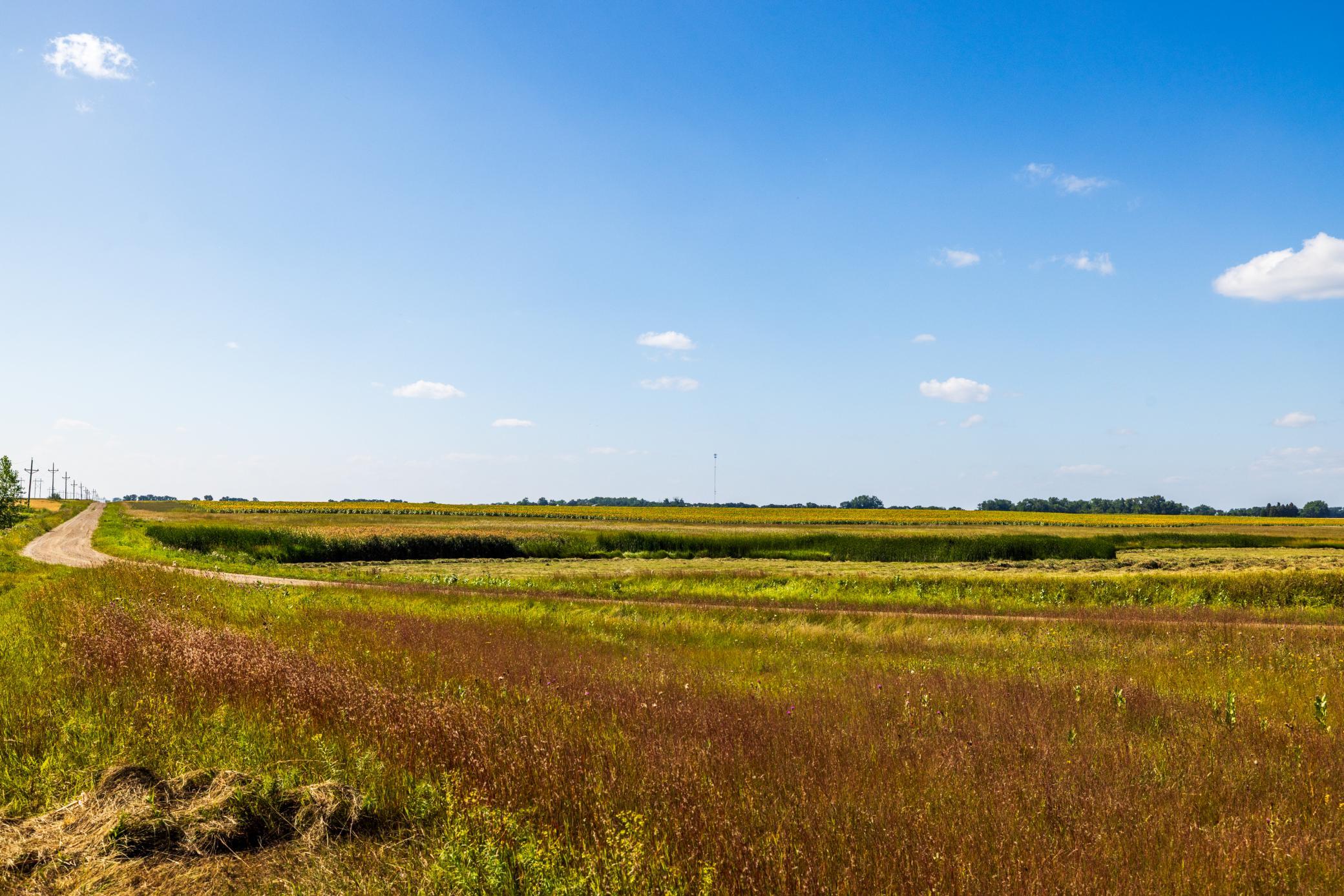land for sale at TBD Berwick Lane Lot 5 in Berwick, ND (photo 7 of 22)