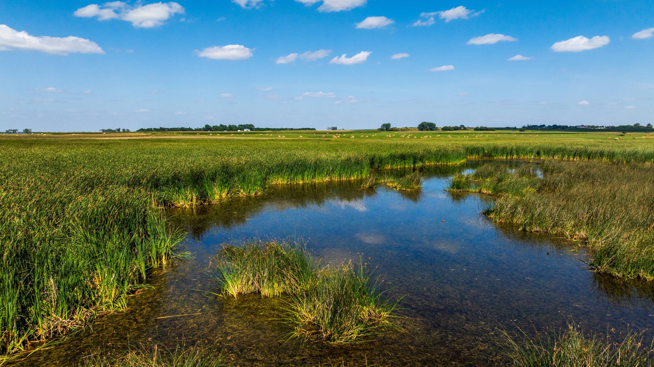 land for sale at TBD Berwick Lane Lot 5 in Berwick, ND (photo 10 of 22)