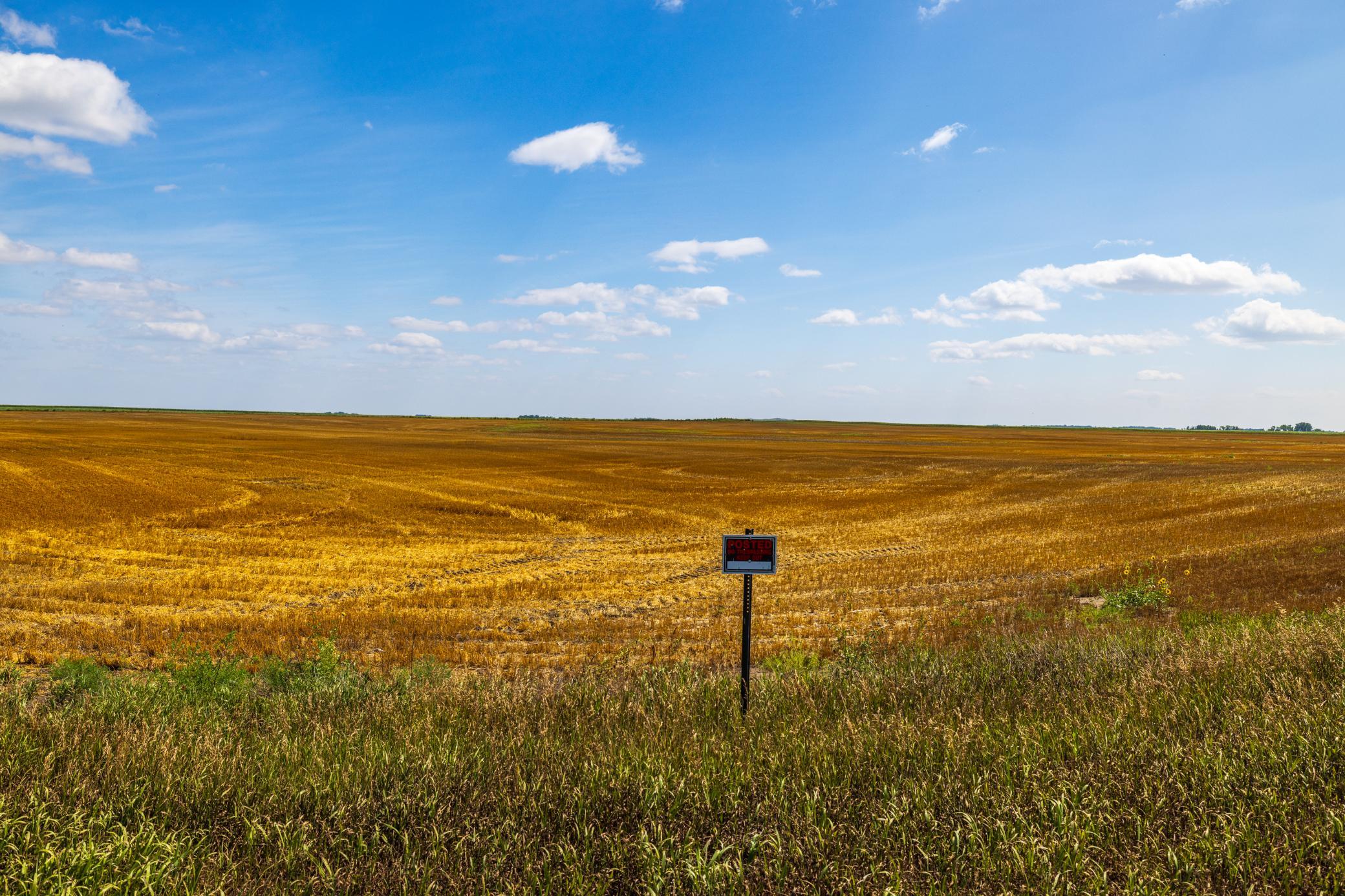 land for sale at TBD 15 Ave NE Lot 4 in Berwick, ND (photo 15 of 23)