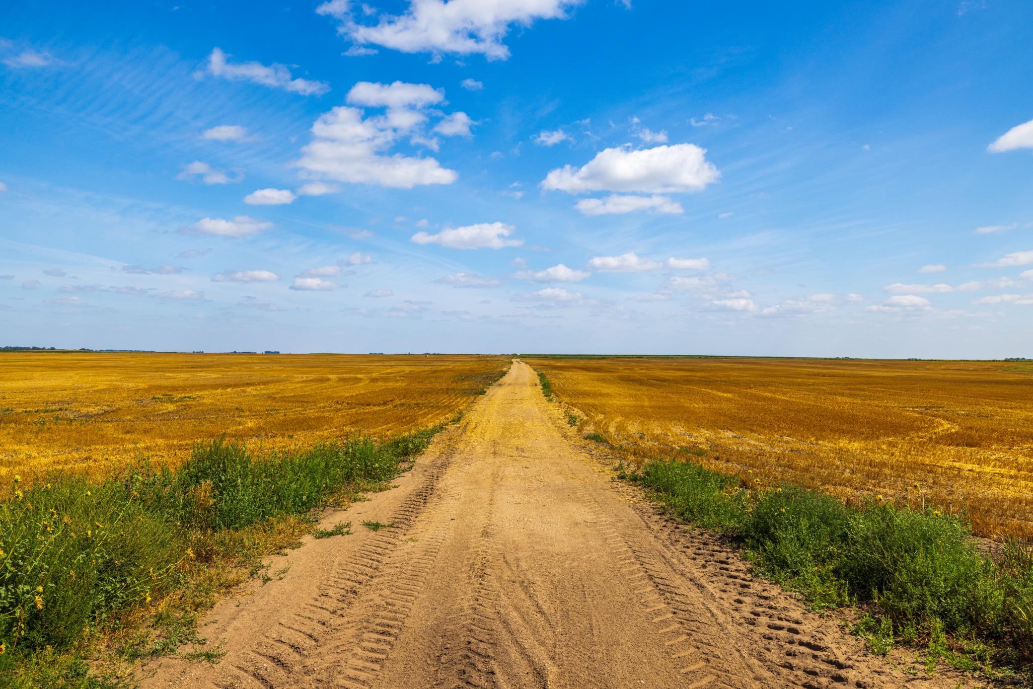 land for sale at TBD 15 Ave NE Lot 4 in Berwick, ND (photo 17 of 23)